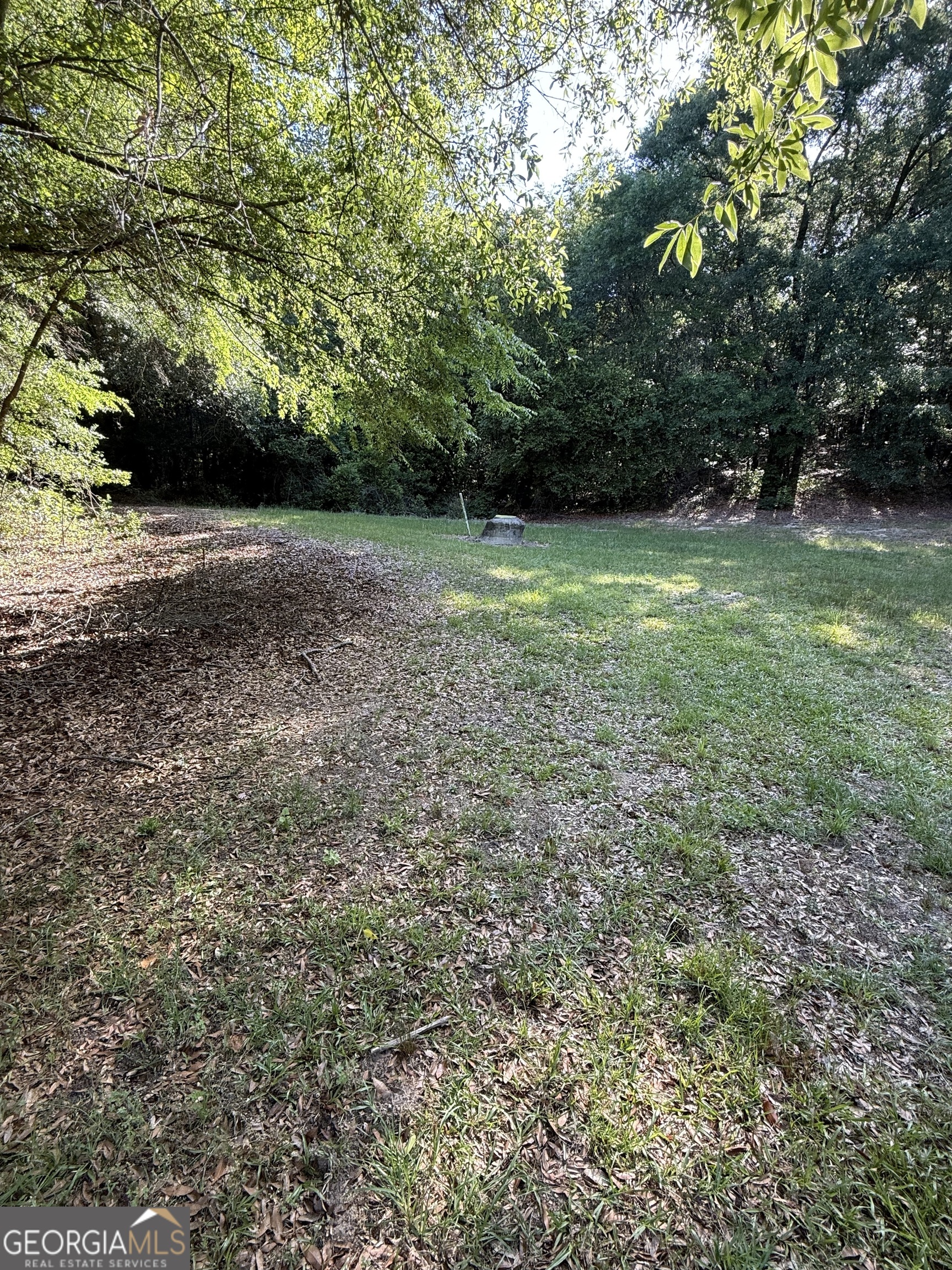 0 Thomas Street Montezuma GA 31063