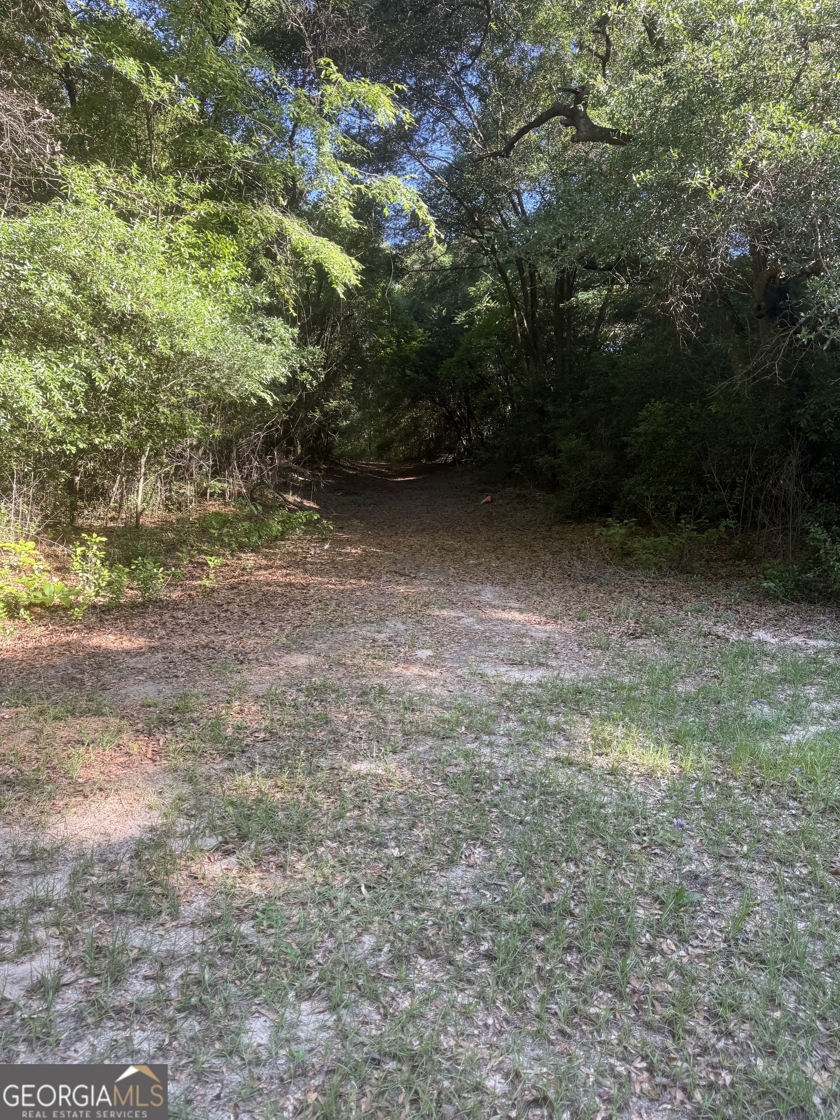 0 Thomas Street Montezuma GA 31063