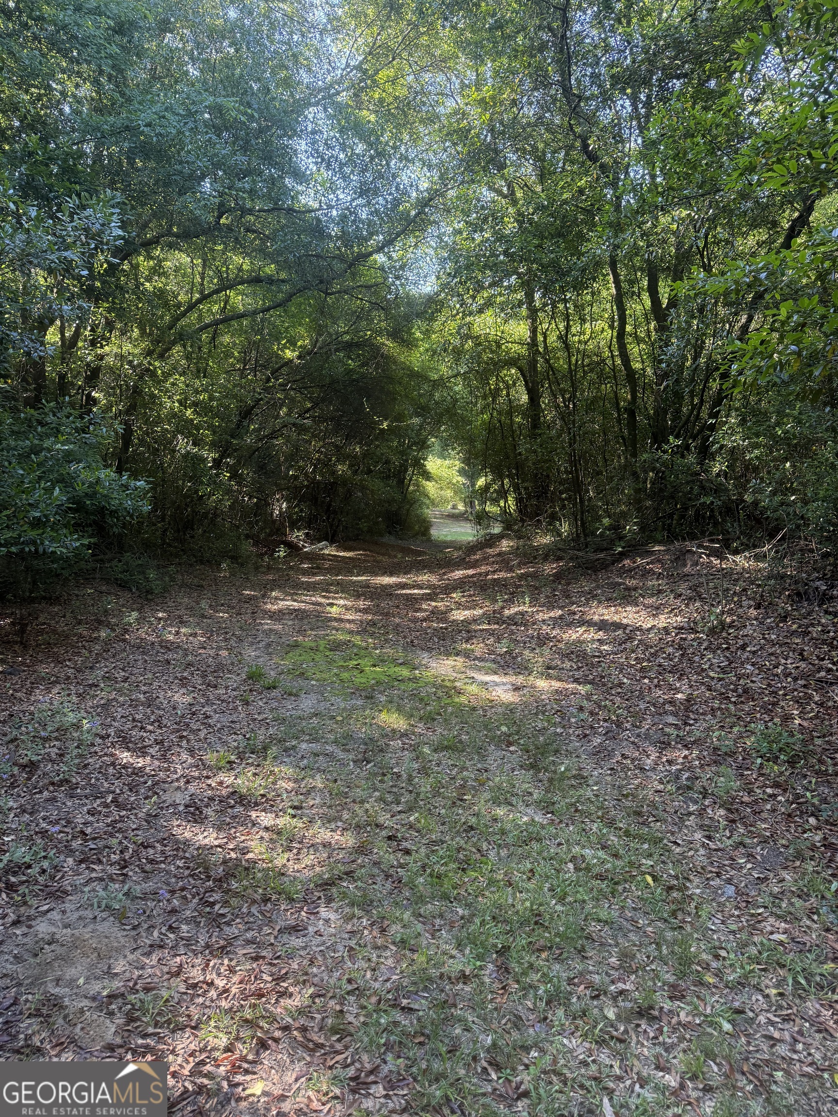 0 Thomas Street Montezuma GA 31063