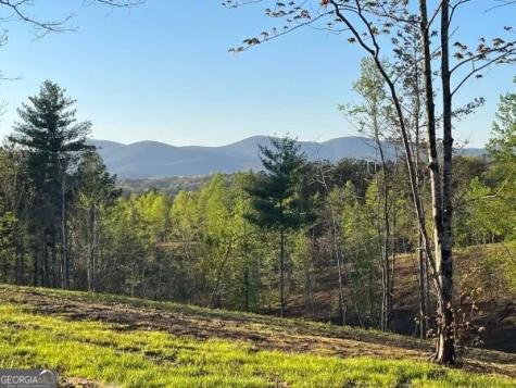 Lot 1 Highway 52 W Dahlonega GA 30533