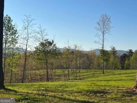 Lot 1 Highway 52 W Dahlonega GA 30533