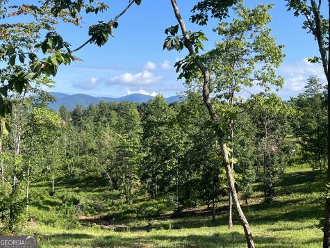 Lot 1 Highway 52 W Dahlonega GA 30533
