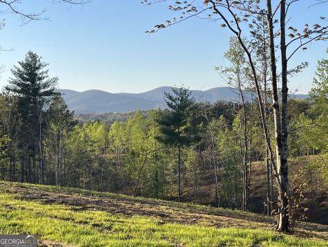 Lot 1 Highway 52 W Dahlonega GA 30533