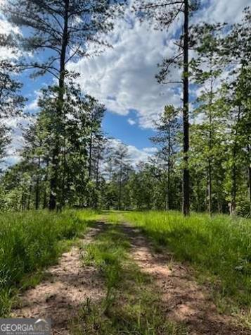 Lot 1 Highway 52 W Dahlonega GA 30533