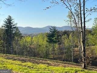 Lot 1 Highway 52 W Dahlonega GA 30533