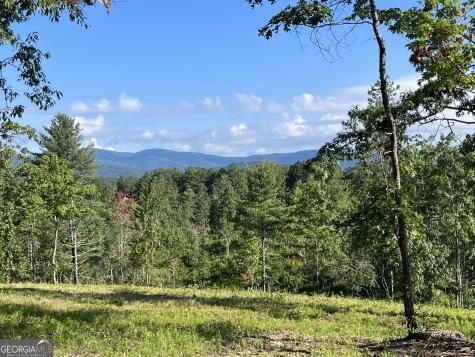 Lot 1 Highway 52 W Dahlonega GA 30533