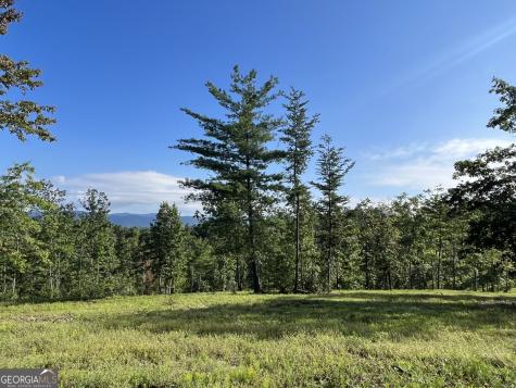 Lot 1 Highway 52 W Dahlonega GA 30533