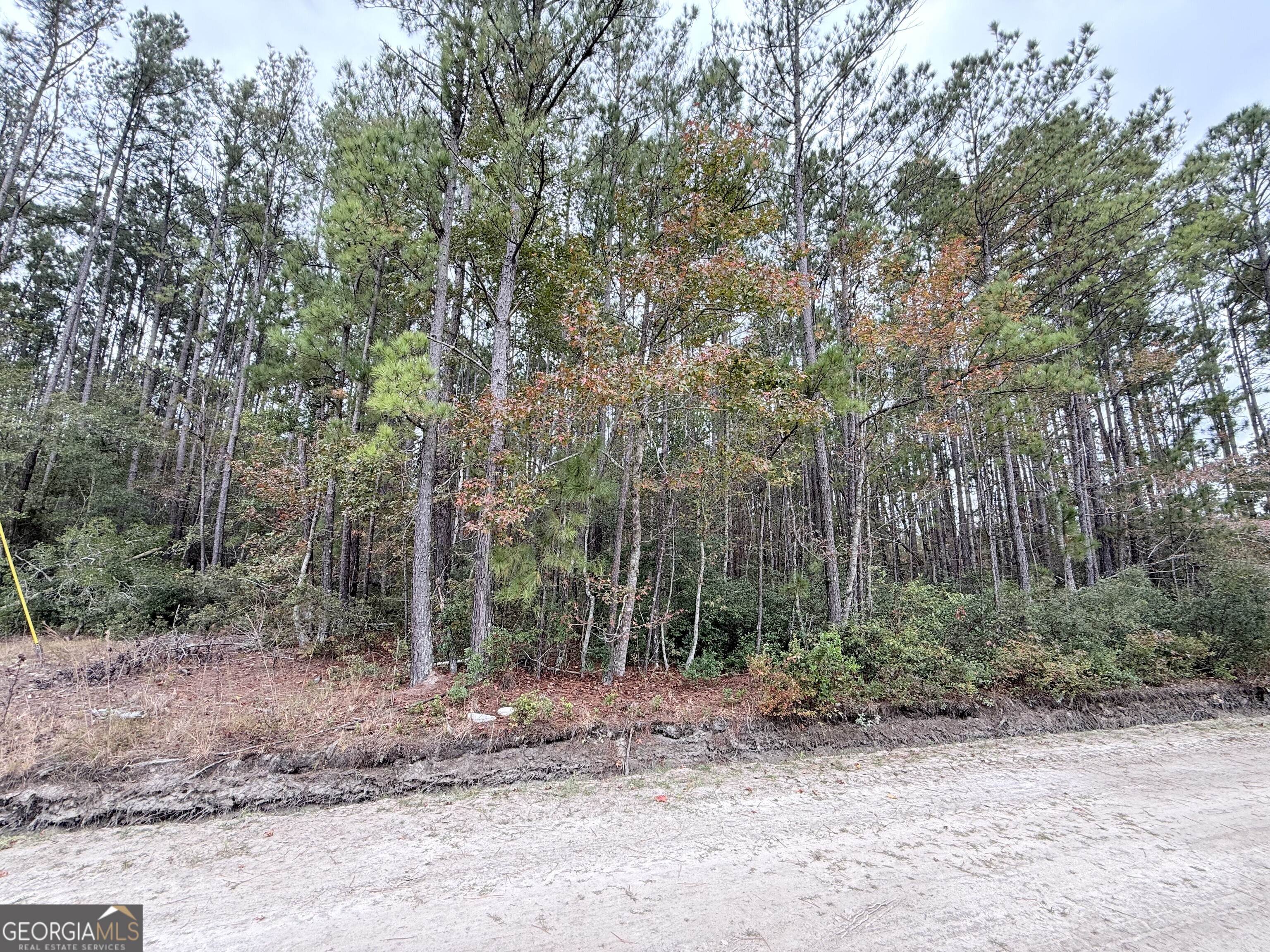0 Raymona 10acres Road Brooklet GA 30415