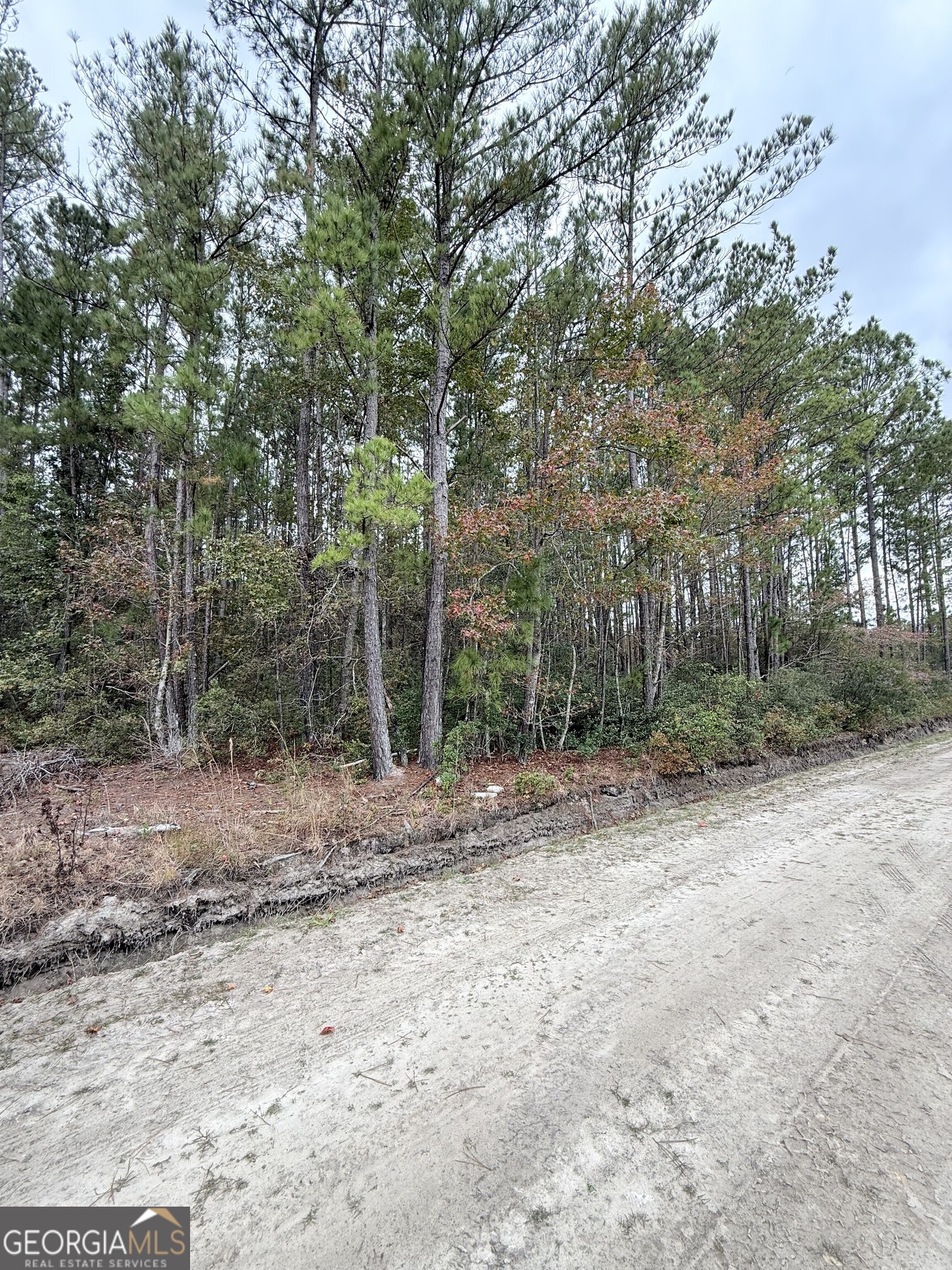 0 Raymona 10acres Road Brooklet GA 30415