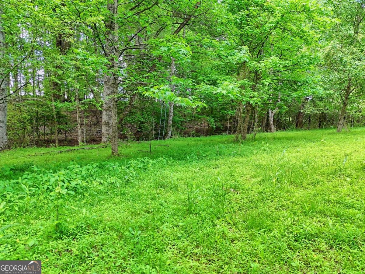 215 Dovie Ray Road Dahlonega GA 30533