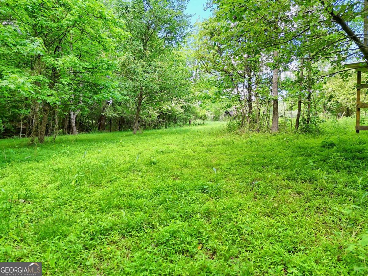 215 Dovie Ray Road Dahlonega GA 30533