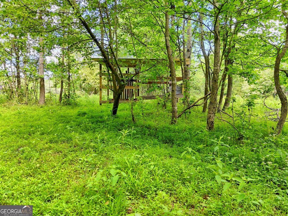 215 Dovie Ray Road Dahlonega GA 30533
