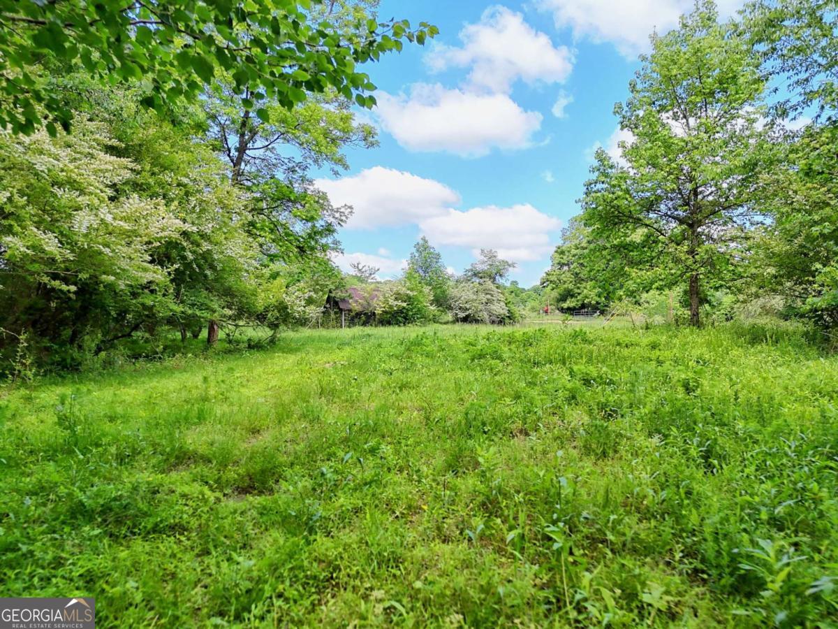 215 Dovie Ray Road Dahlonega GA 30533