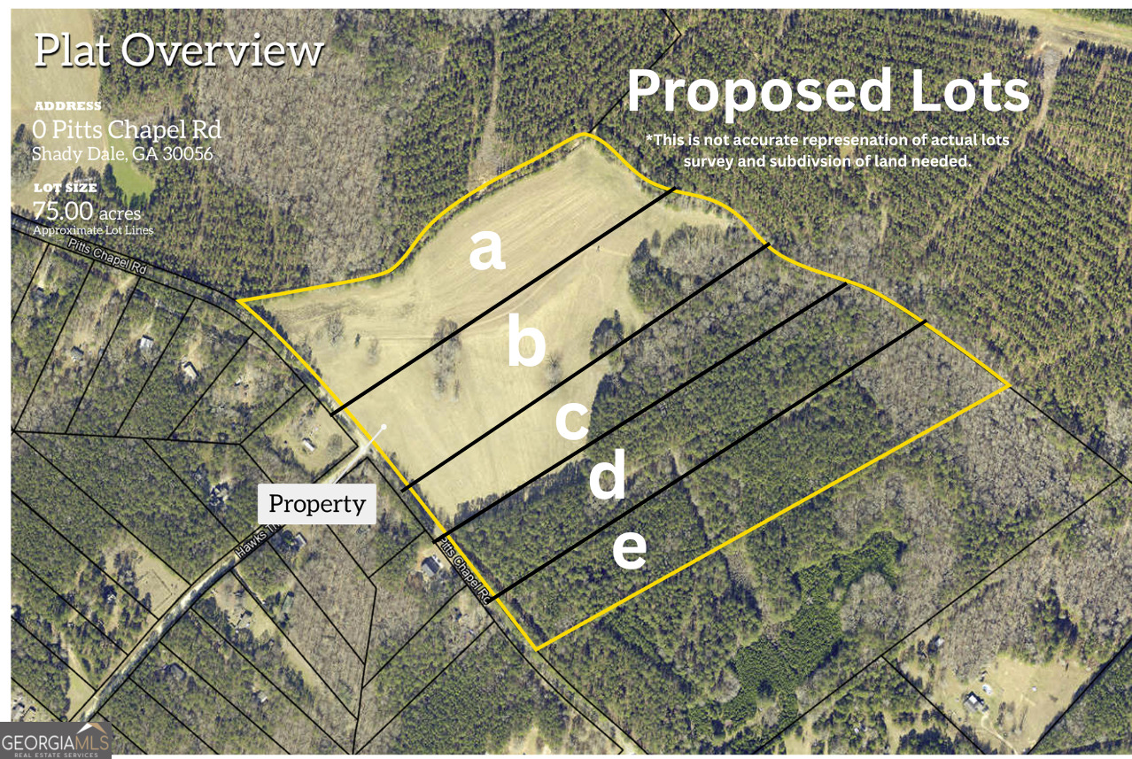 Lot D 0 Pitts Chapel Road Monticello GA 31064