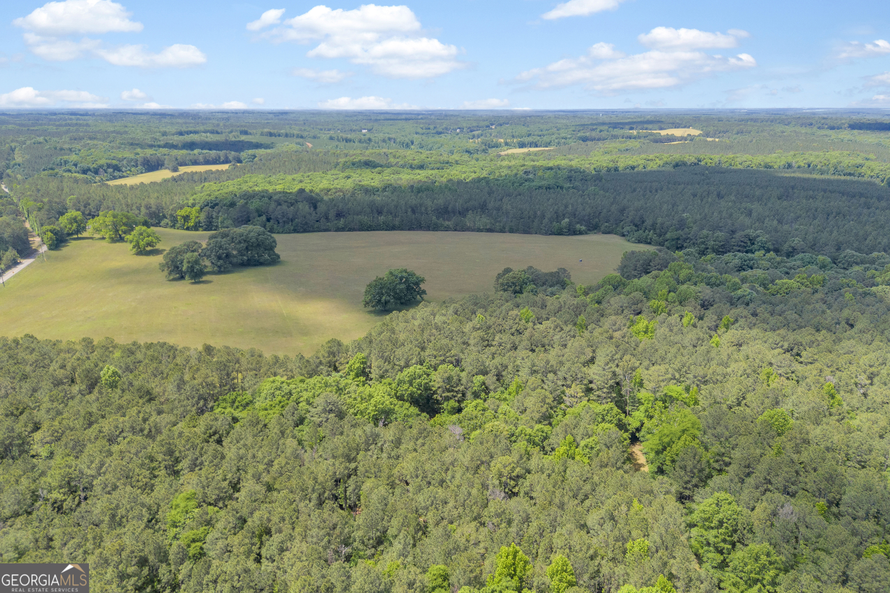 Lot D 0 Pitts Chapel Road Monticello GA 31064