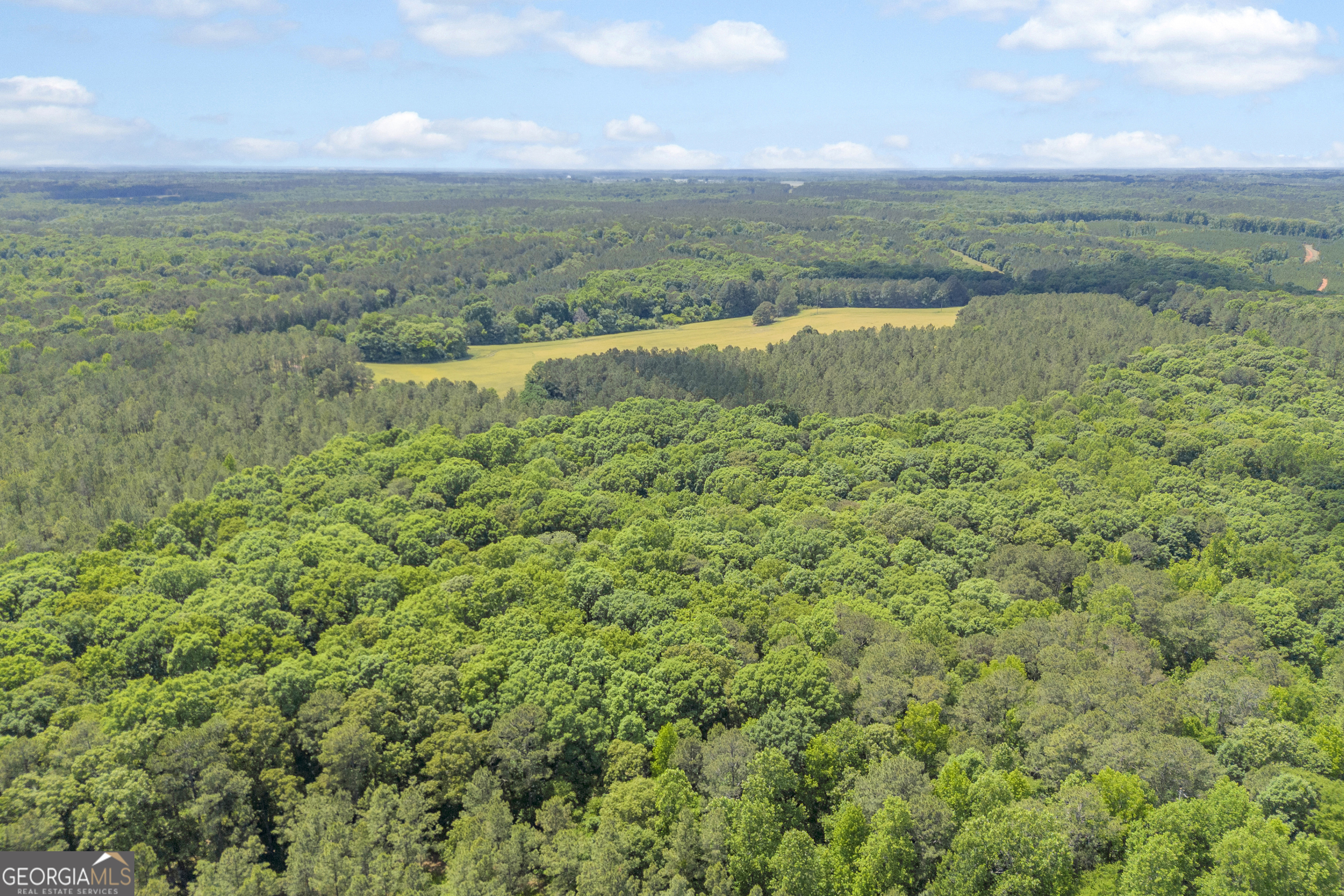 Lot D 0 Pitts Chapel Road Monticello GA 31064
