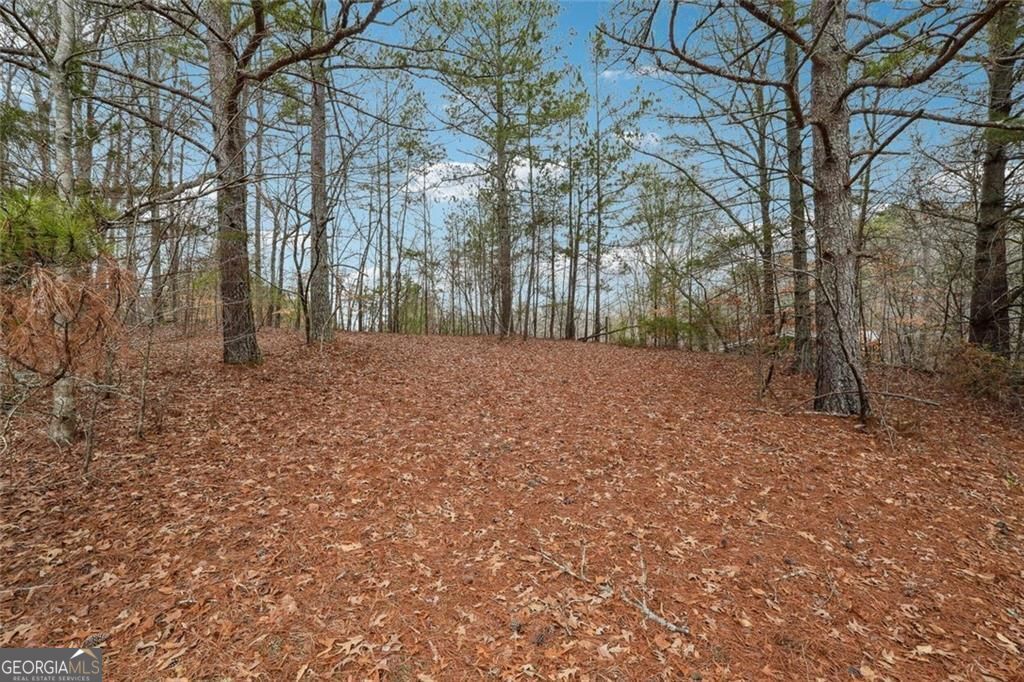 8265 Seabolt Drive Cumming GA 30028