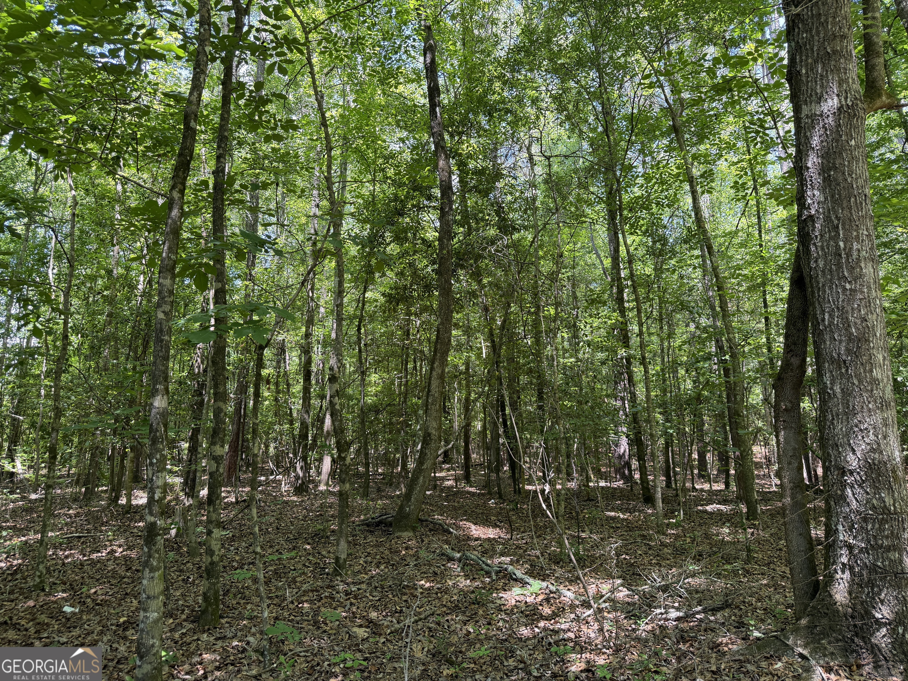 010 Long Branch Road Toomsboro GA 31090