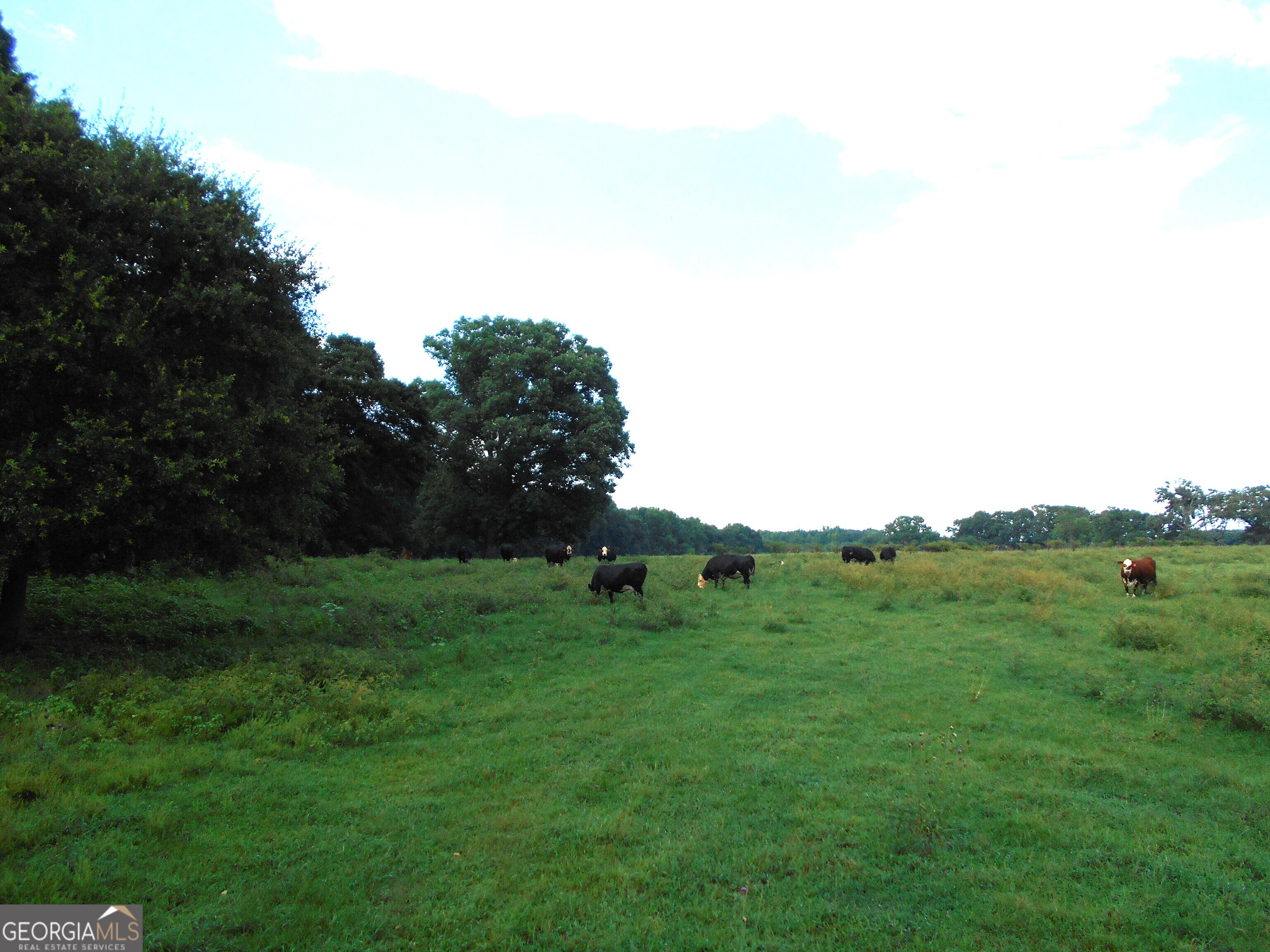 69 Acres Elberton Highway Hartwell GA 30643