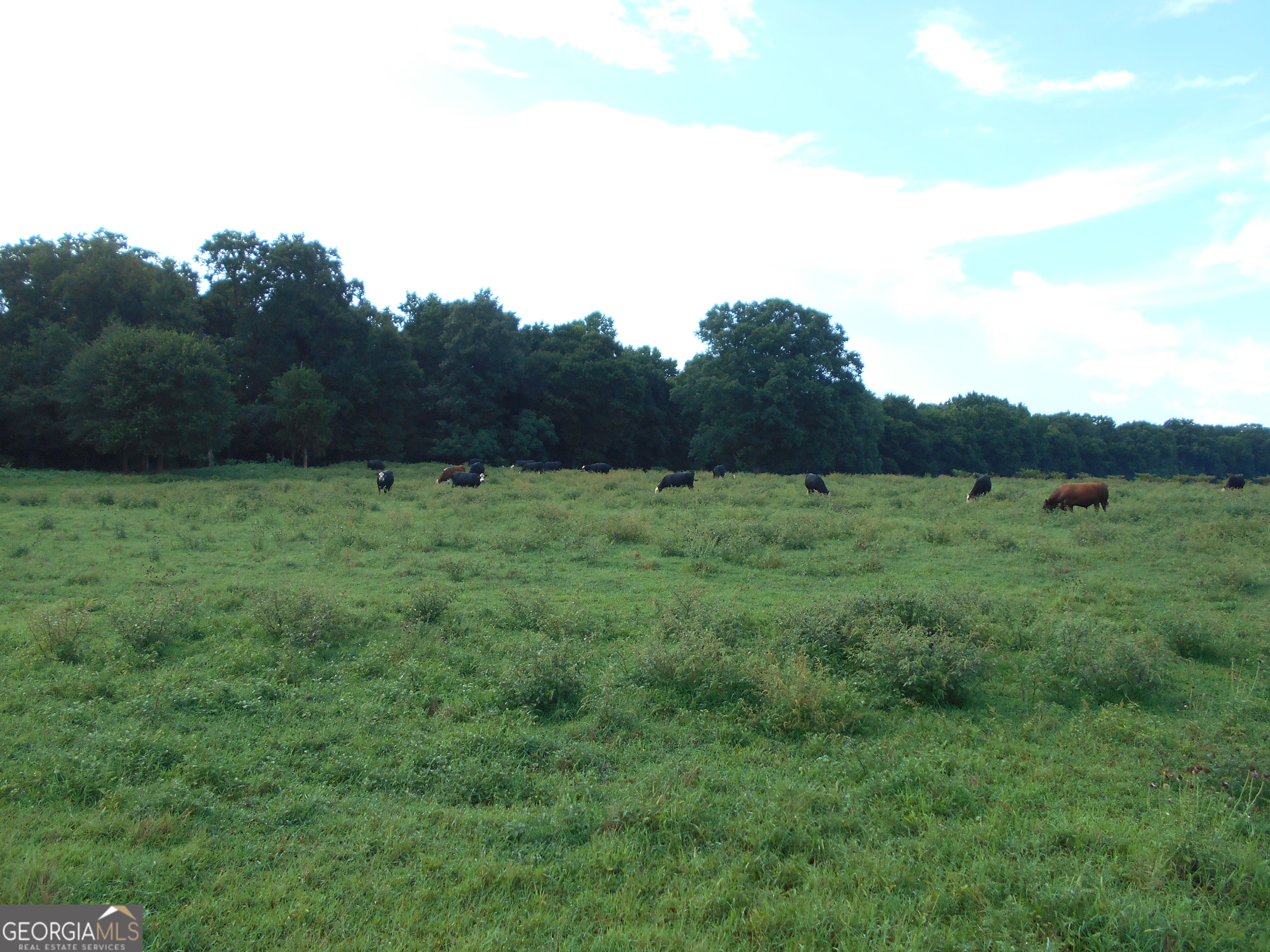 69 Acres Elberton Highway Hartwell GA 30643