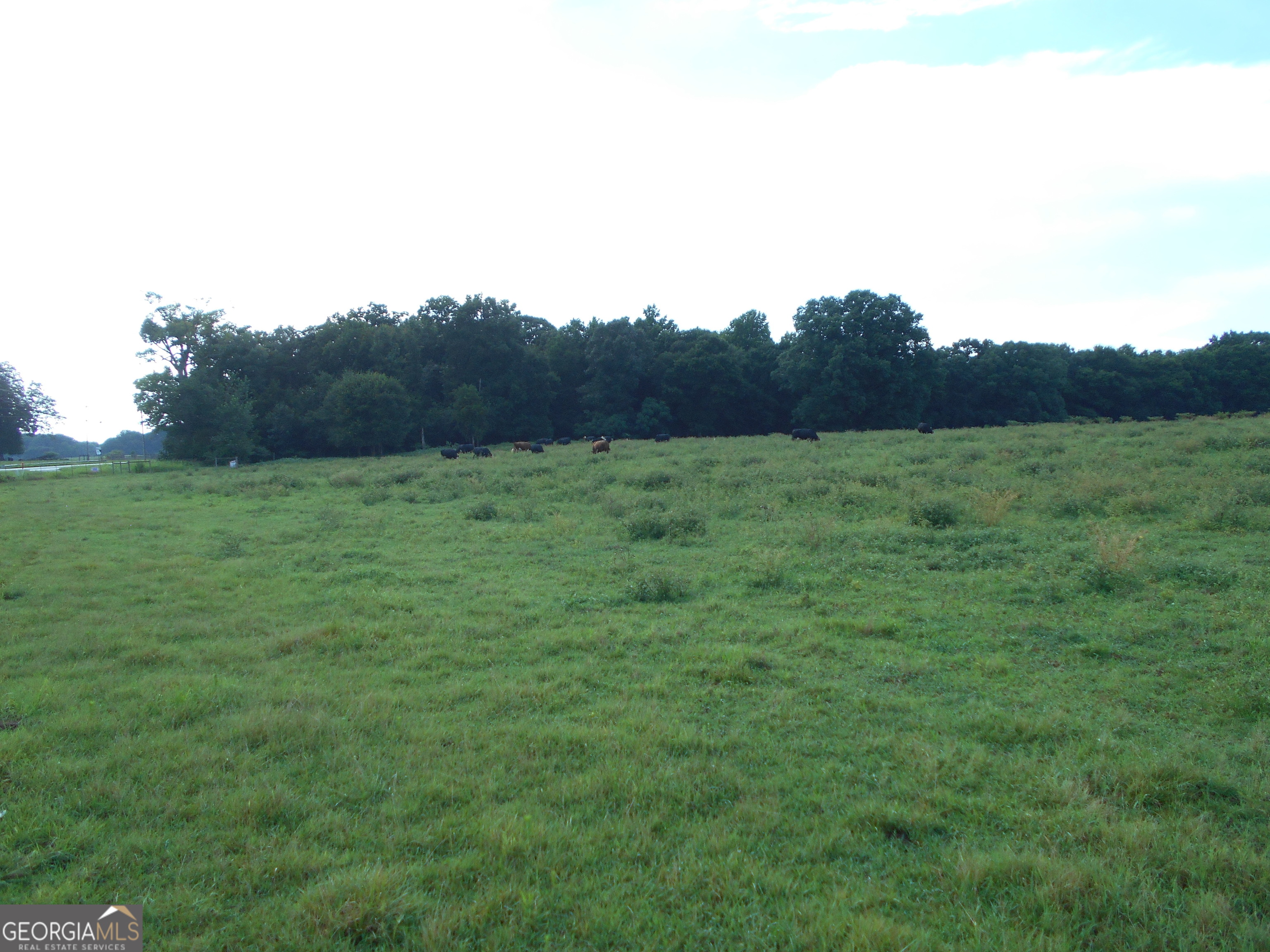 69 Acres Elberton Highway Hartwell GA 30643