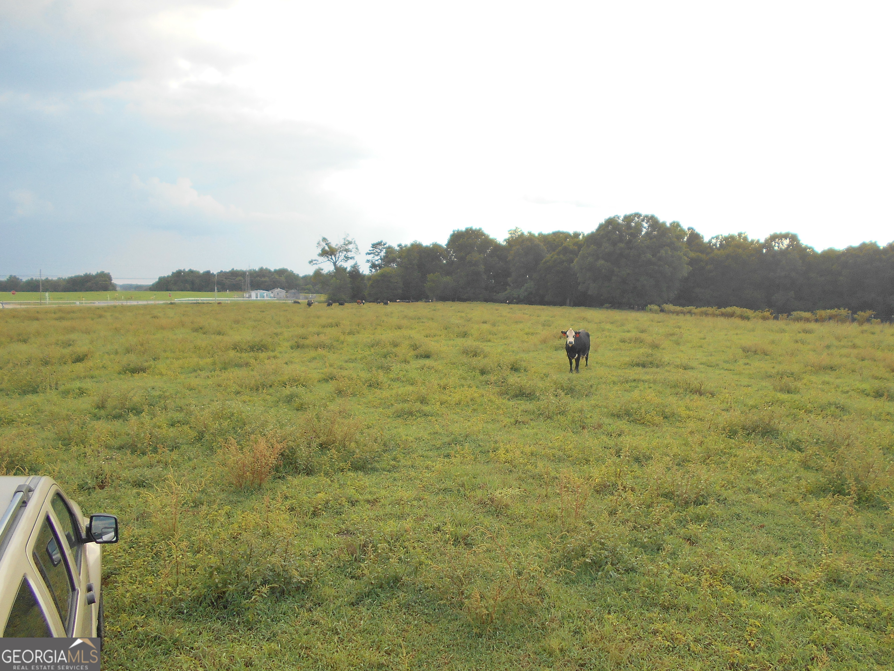 69 Acres Elberton Highway Hartwell GA 30643