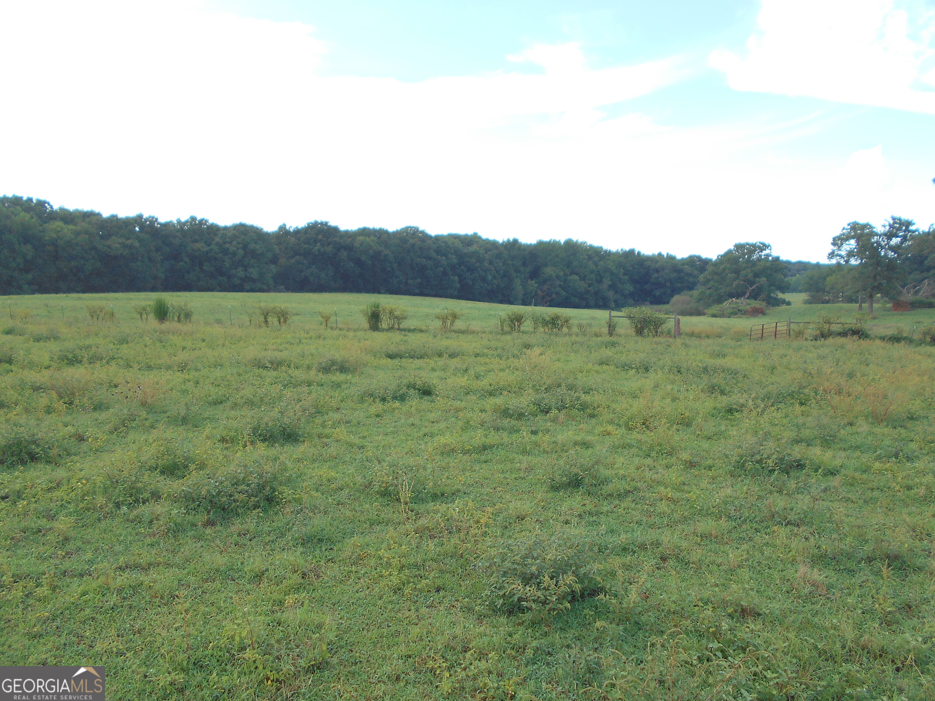 69 Acres Elberton Highway Hartwell GA 30643