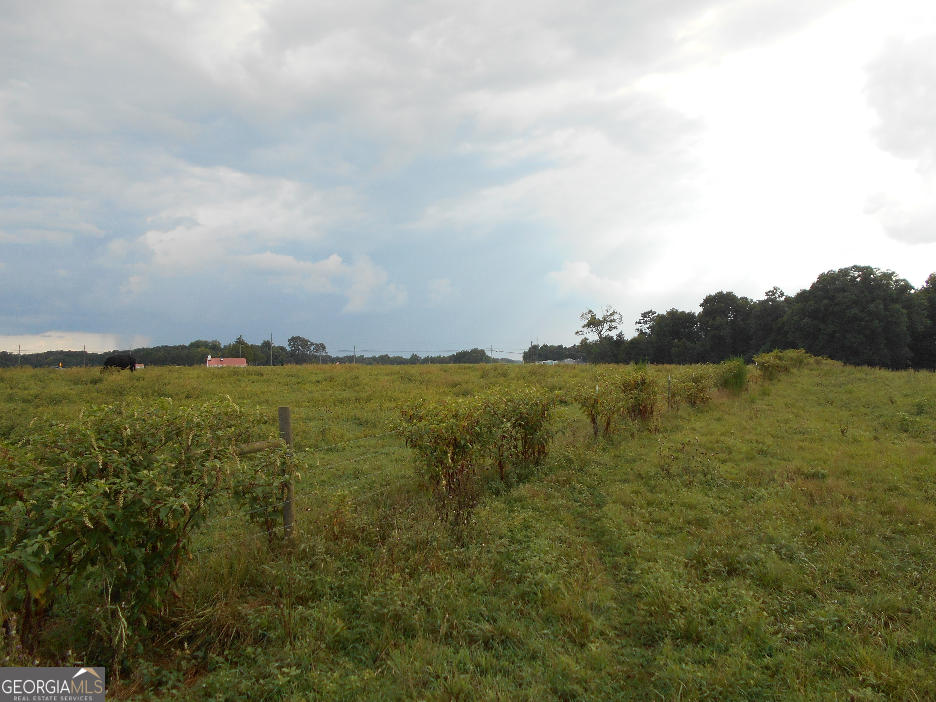 69 Acres Elberton Highway Hartwell GA 30643