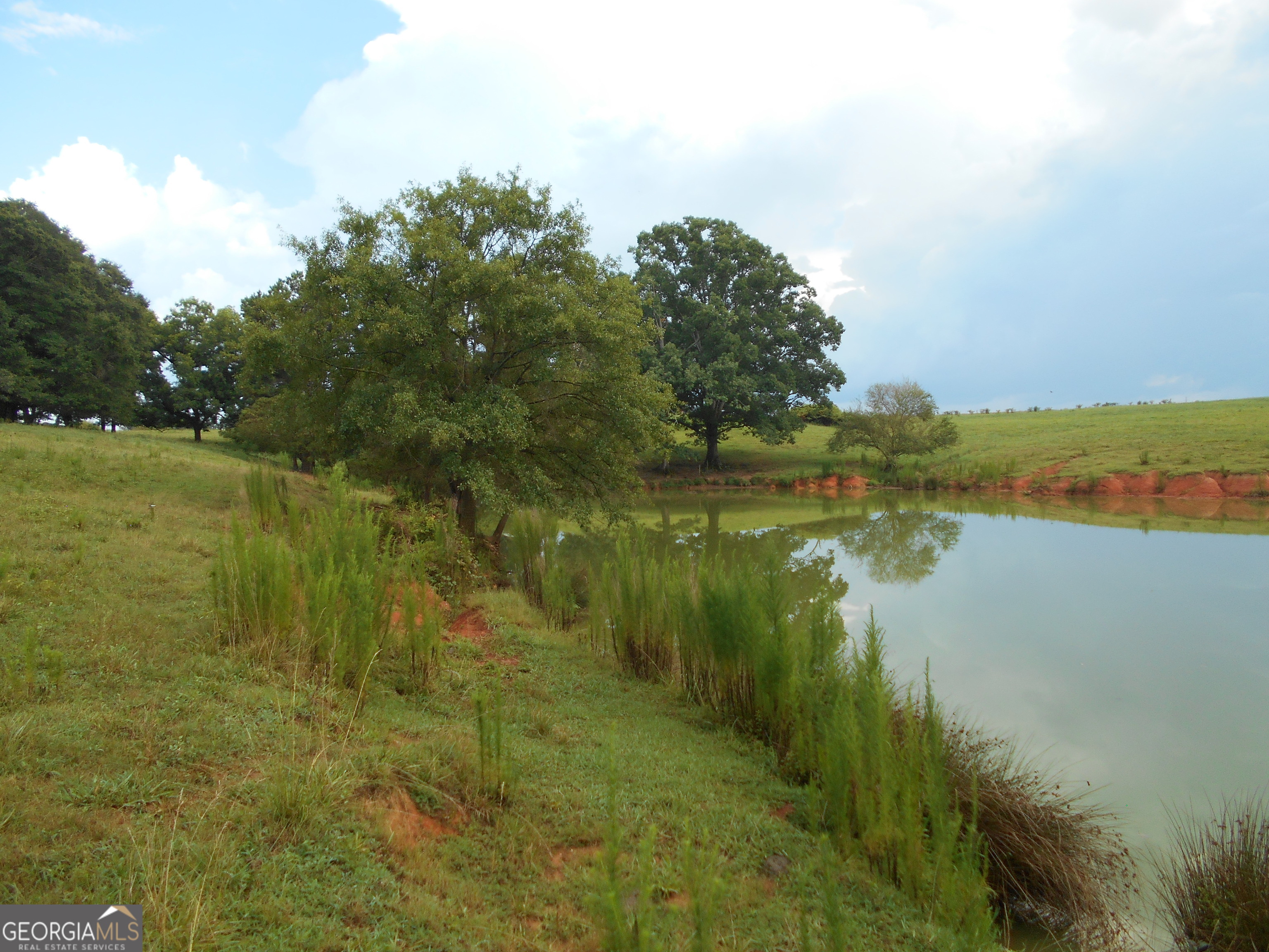69 Acres Elberton Highway Hartwell GA 30643