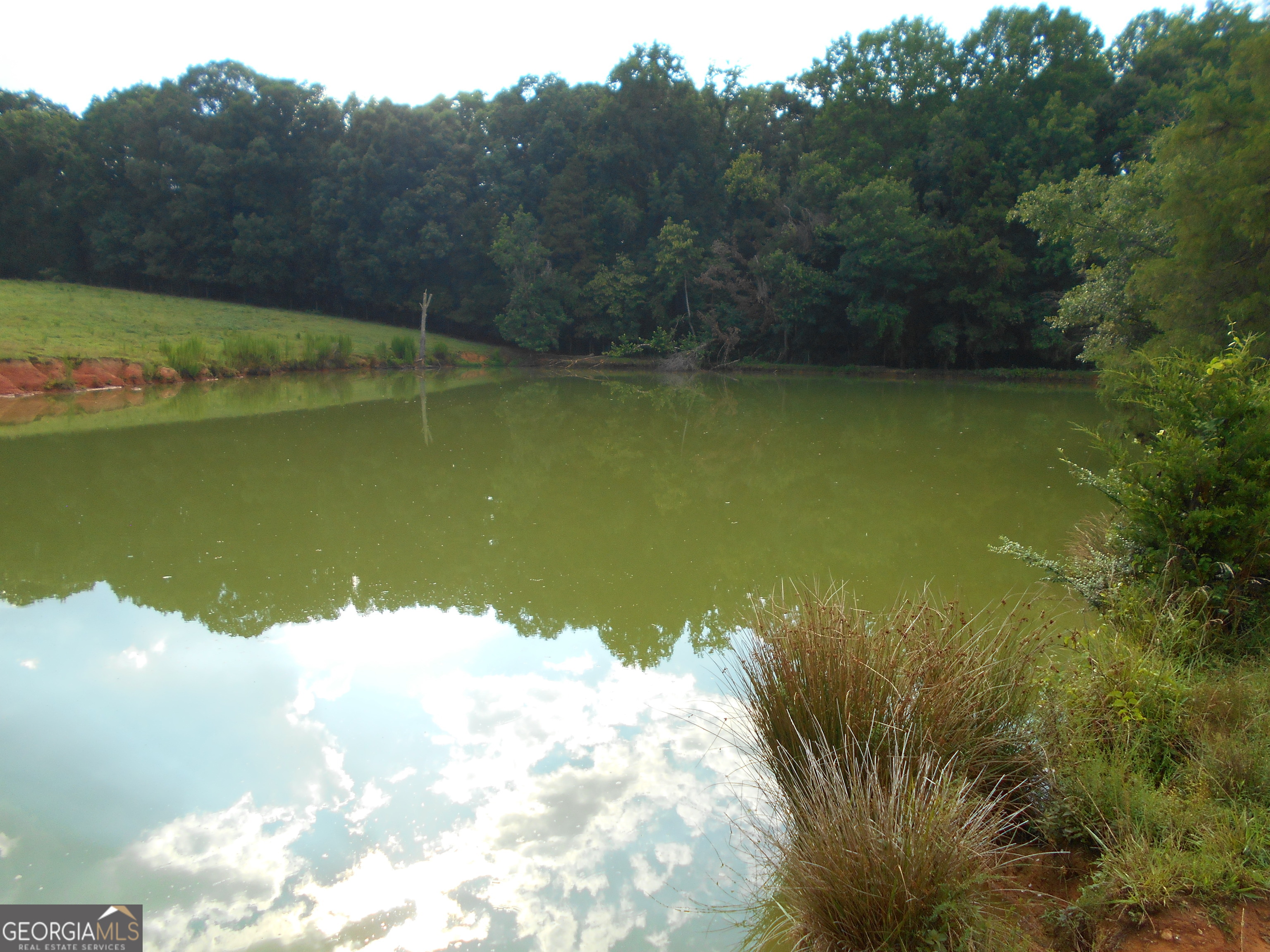 69 Acres Elberton Highway Hartwell GA 30643