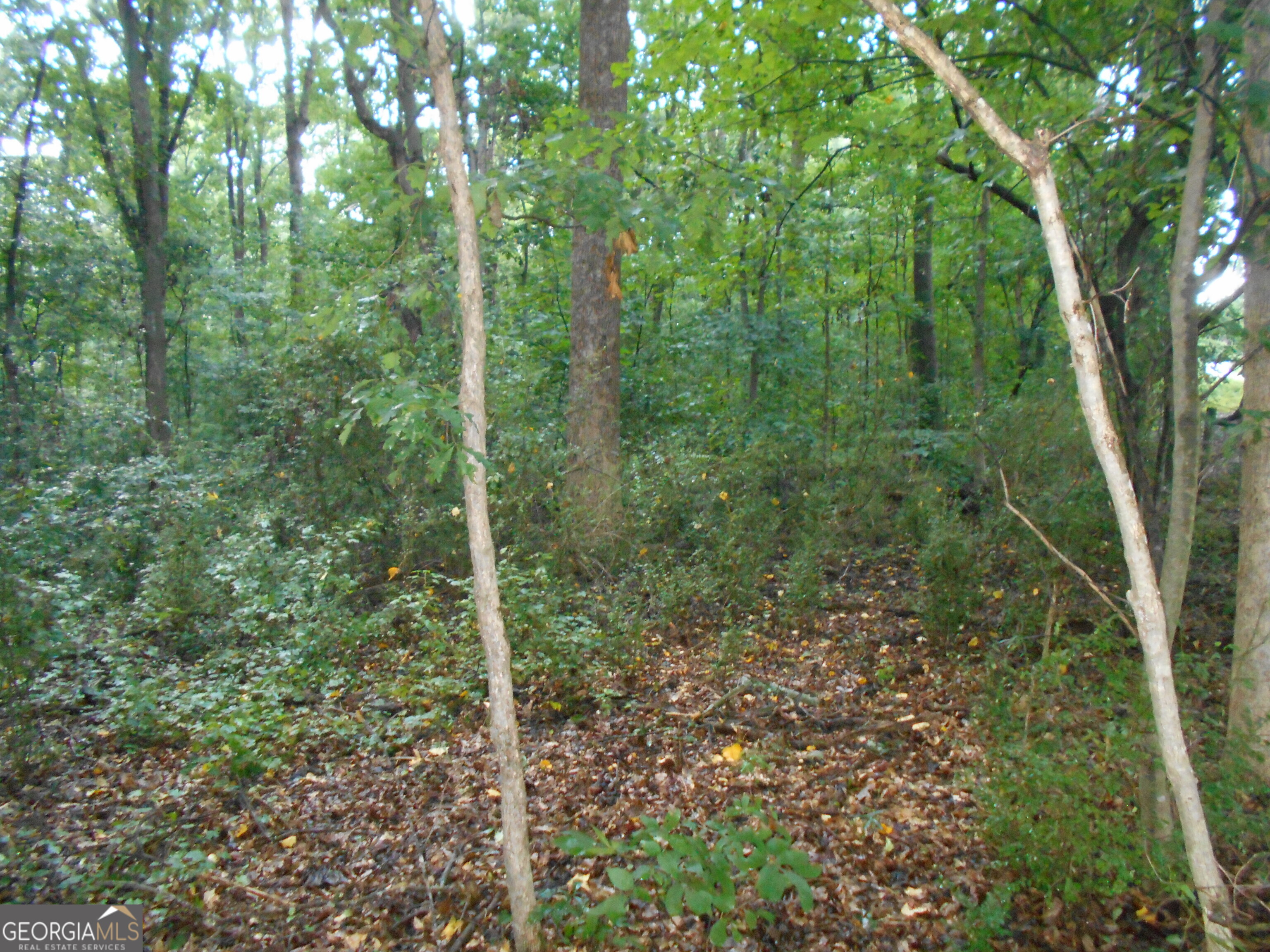 69 Acres Elberton Highway Hartwell GA 30643