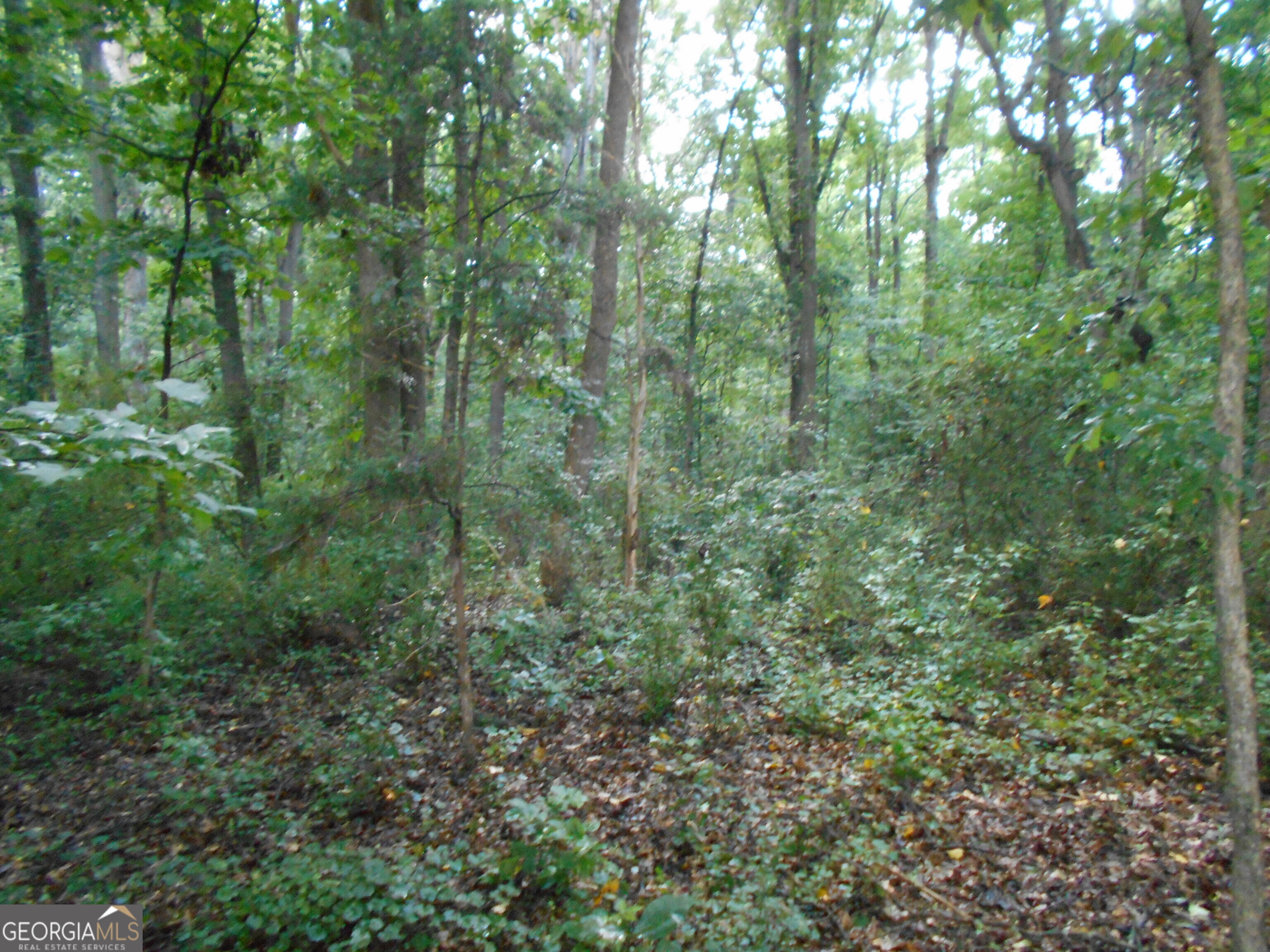 69 Acres Elberton Highway Hartwell GA 30643