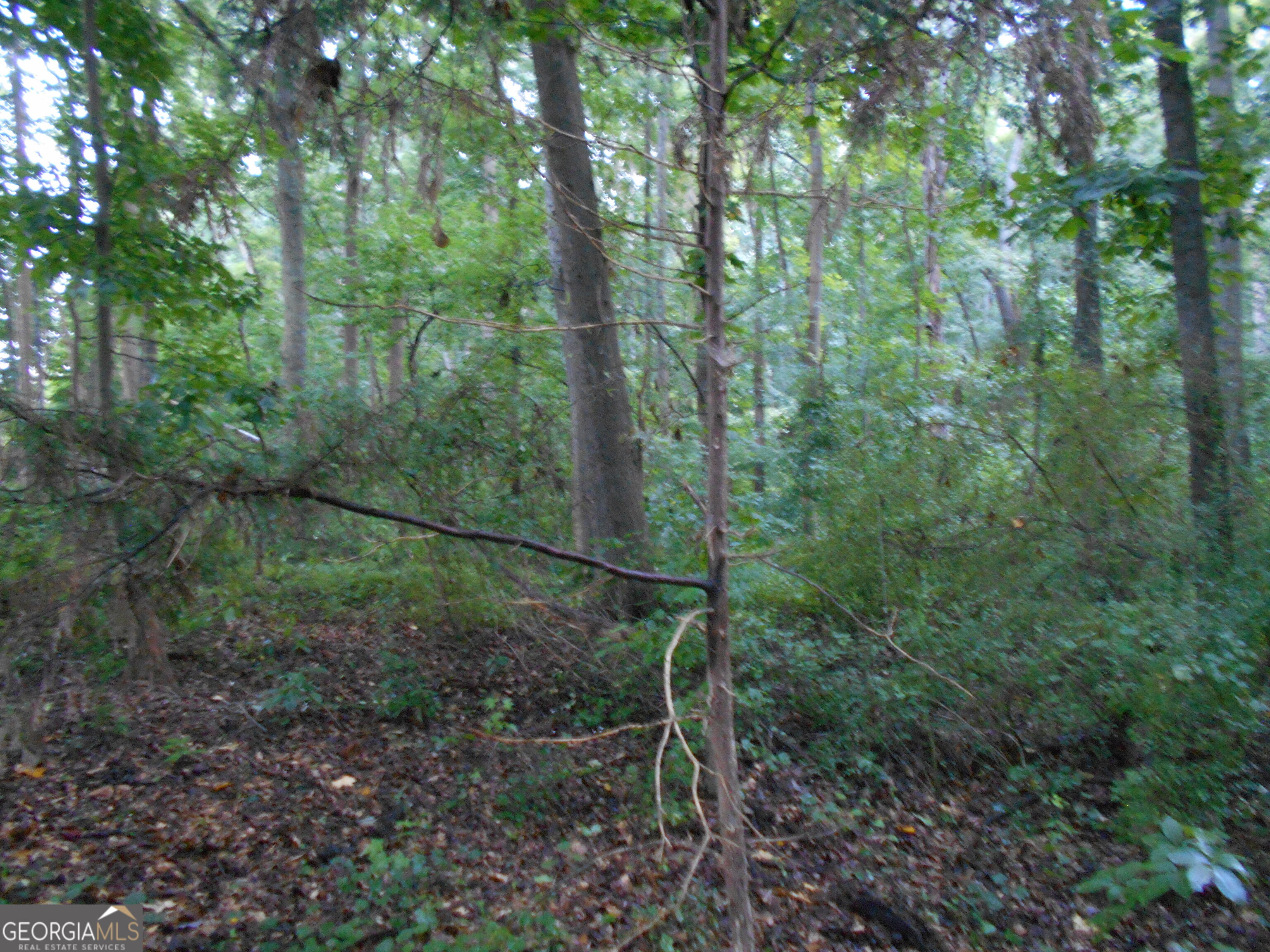 69 Acres Elberton Highway Hartwell GA 30643
