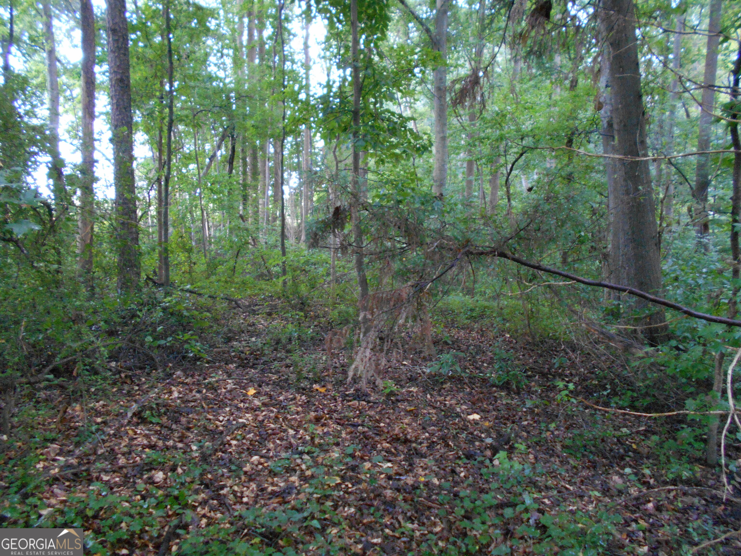 69 Acres Elberton Highway Hartwell GA 30643