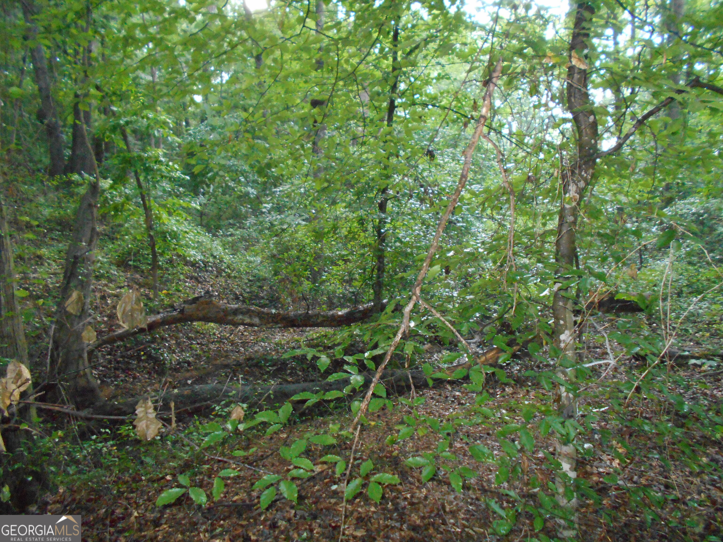 69 Acres Elberton Highway Hartwell GA 30643