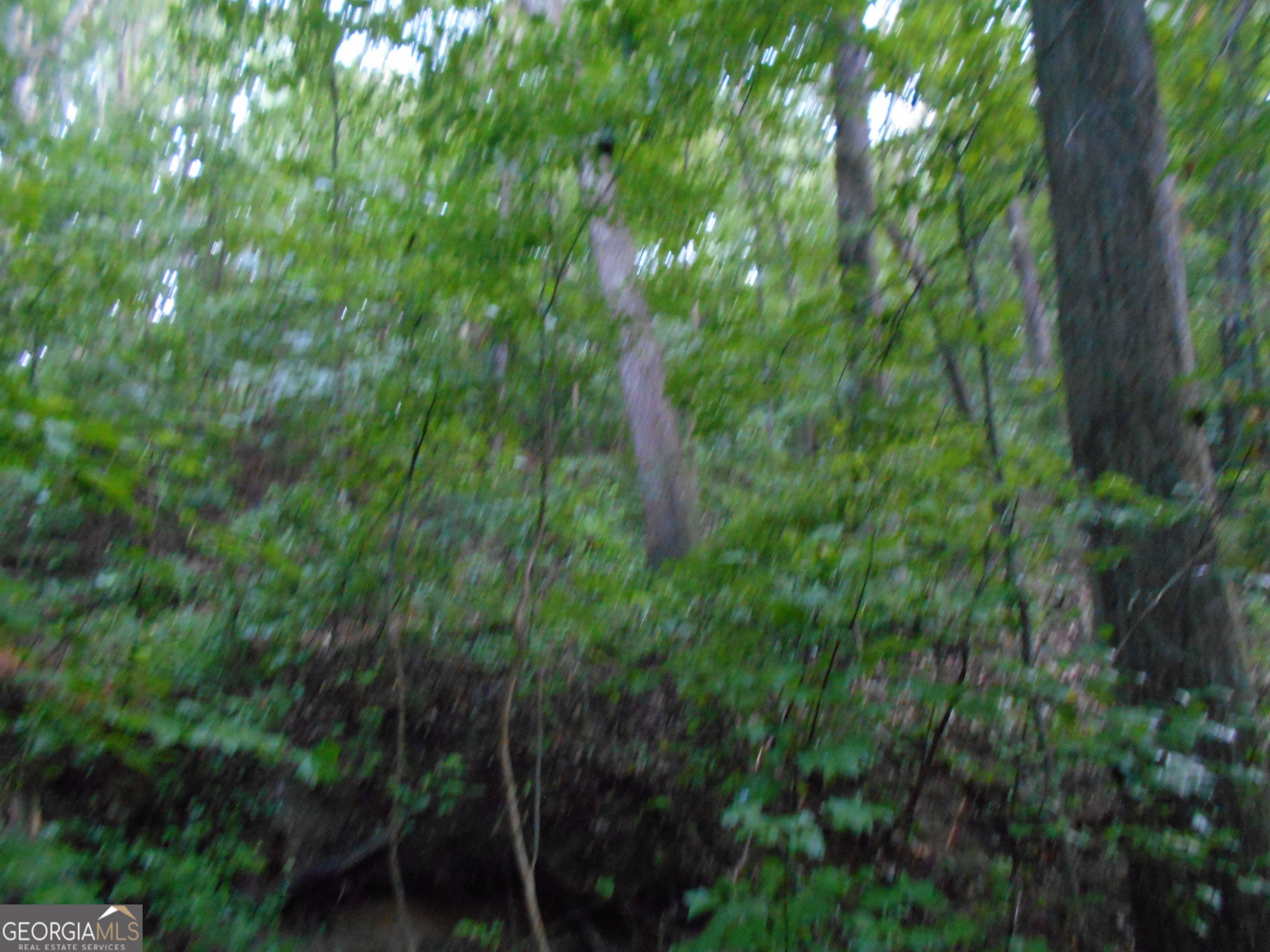 69 Acres Elberton Highway Hartwell GA 30643
