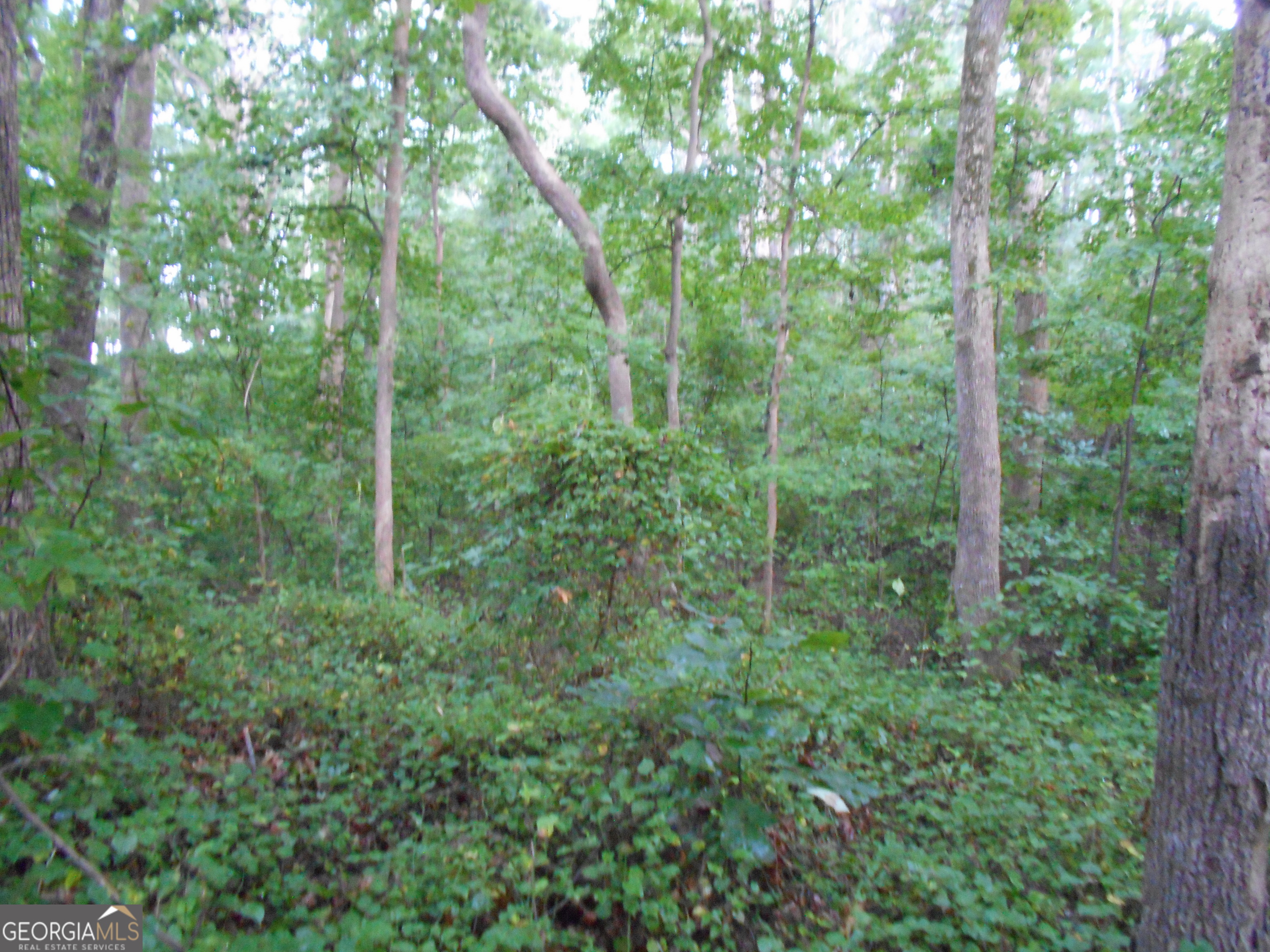 69 Acres Elberton Highway Hartwell GA 30643