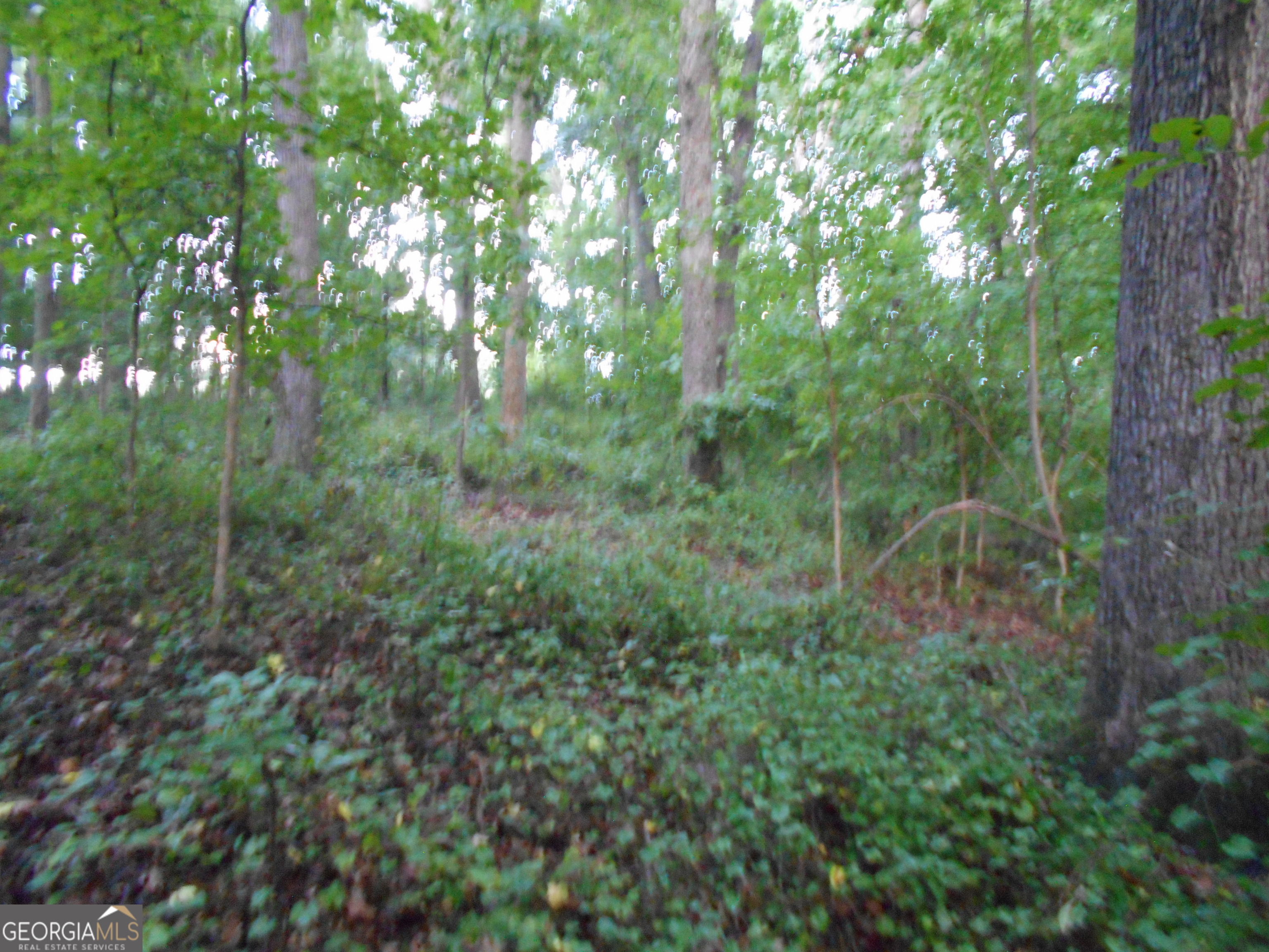 69 Acres Elberton Highway Hartwell GA 30643