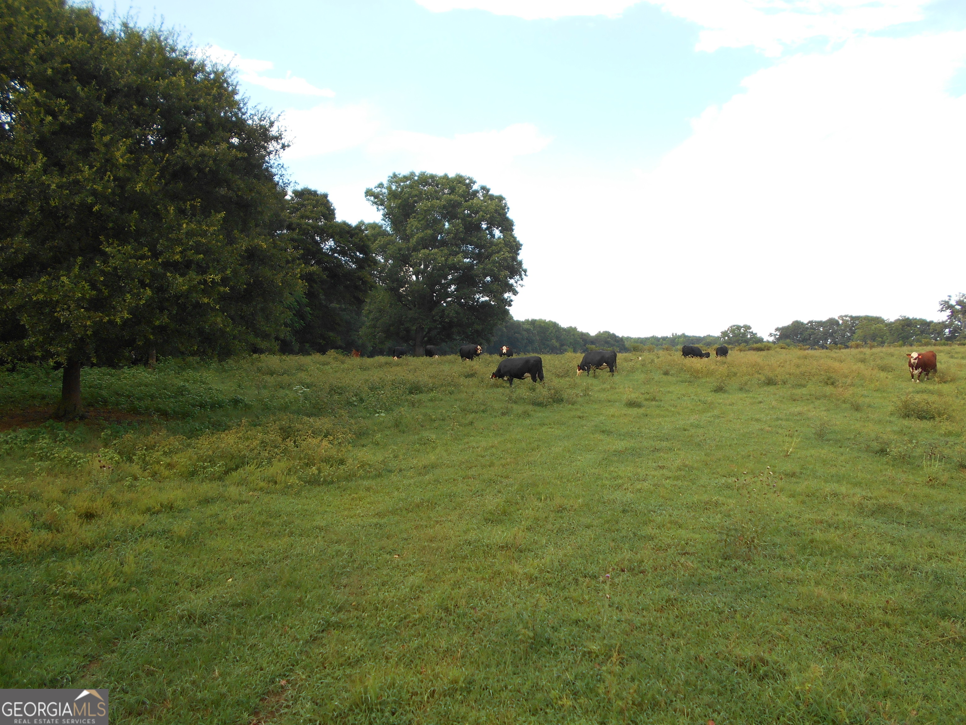 69 Acres Elberton Highway Hartwell GA 30643