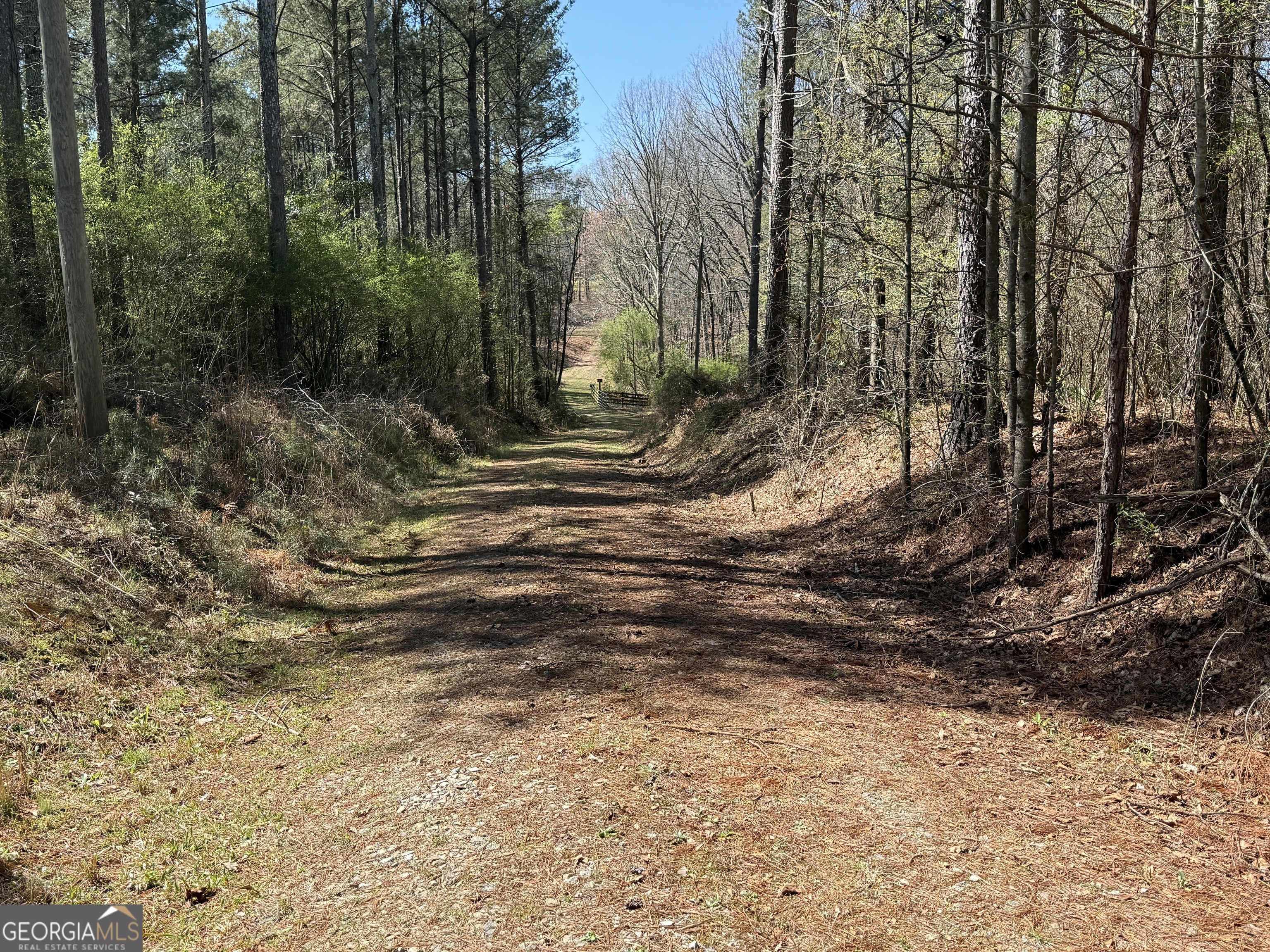 2375 Factory Hole Drive Bowman GA 30624
