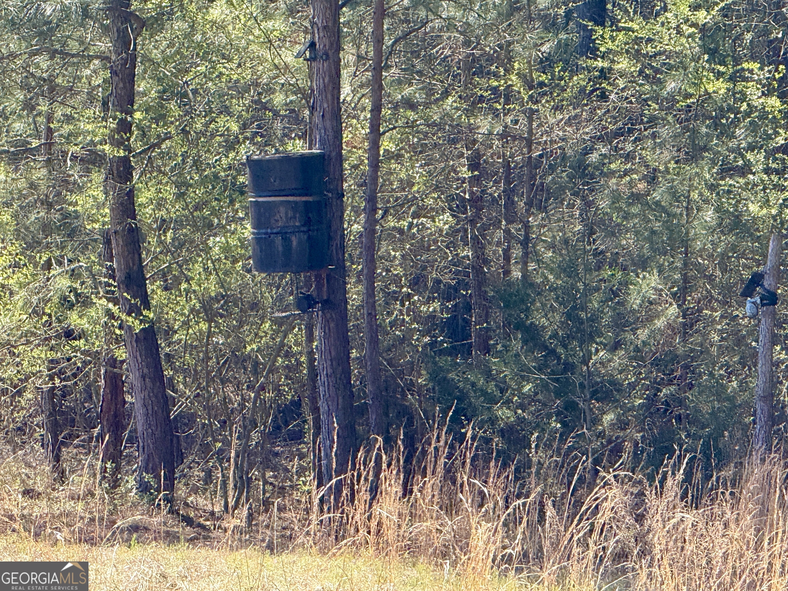 2375 Factory Hole Drive Bowman GA 30624