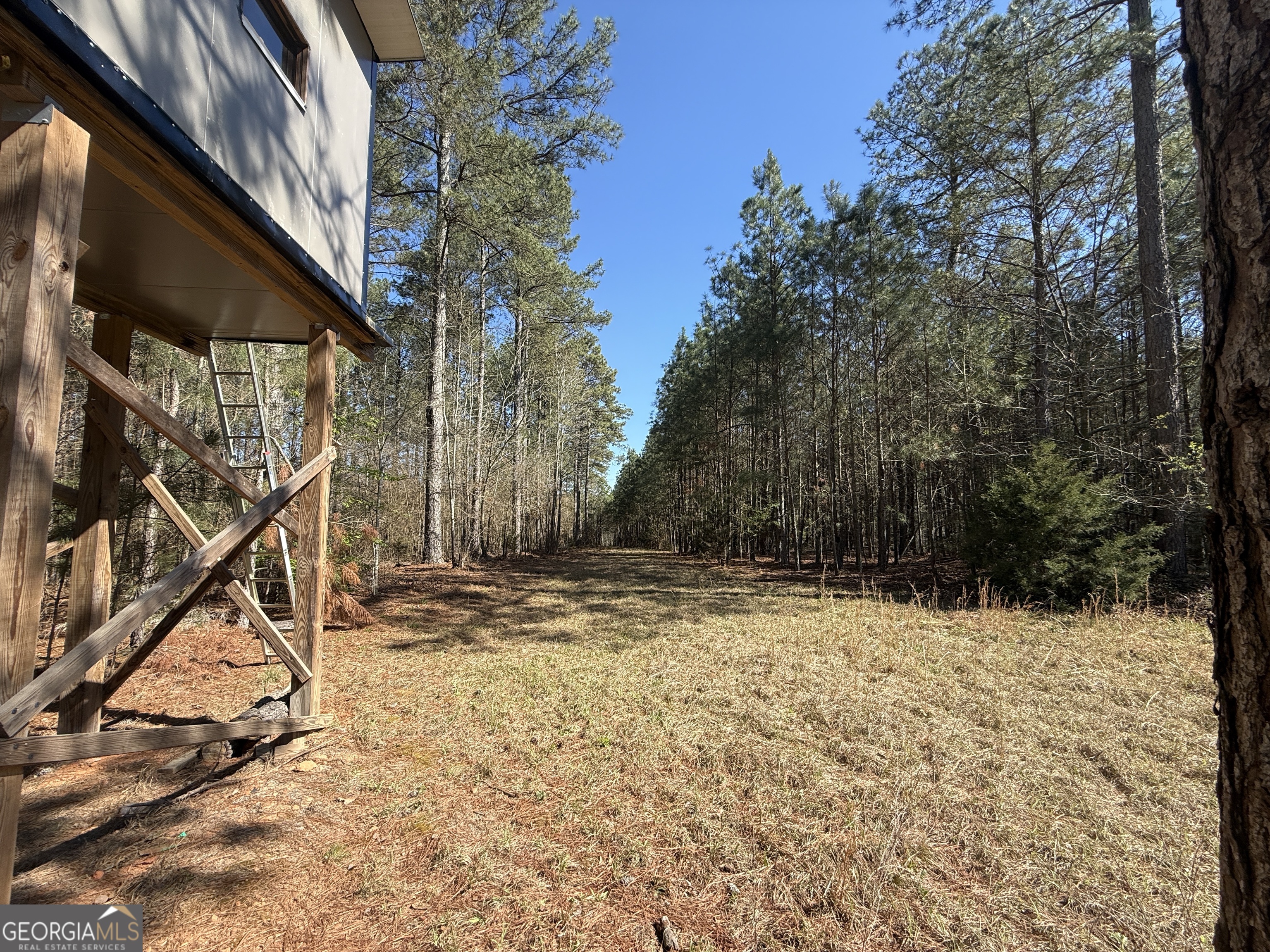 2375 Factory Hole Drive Bowman GA 30624