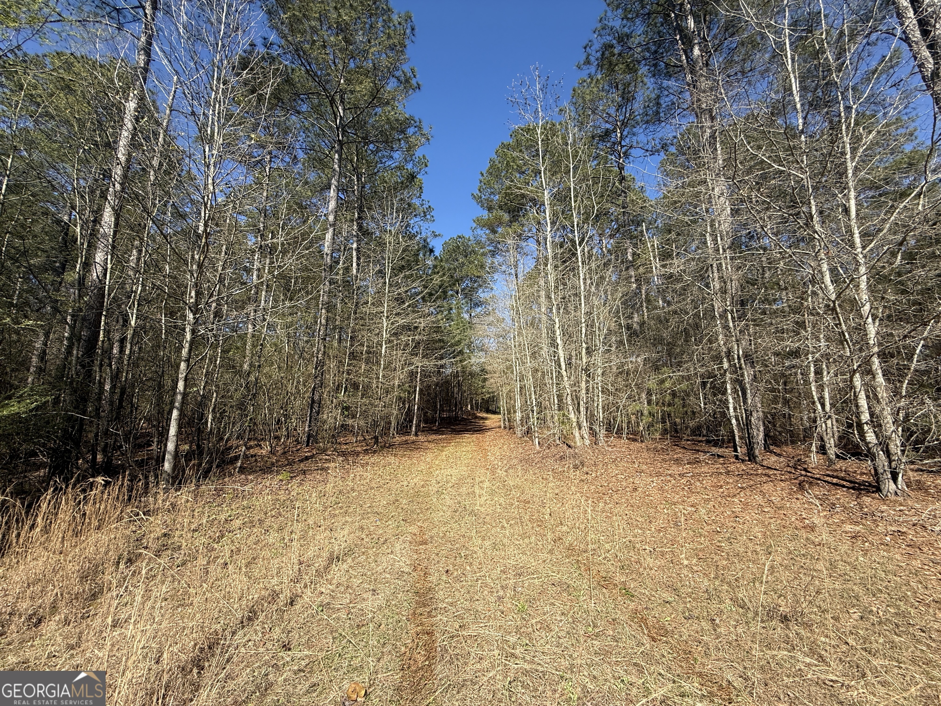 2375 Factory Hole Drive Bowman GA 30624
