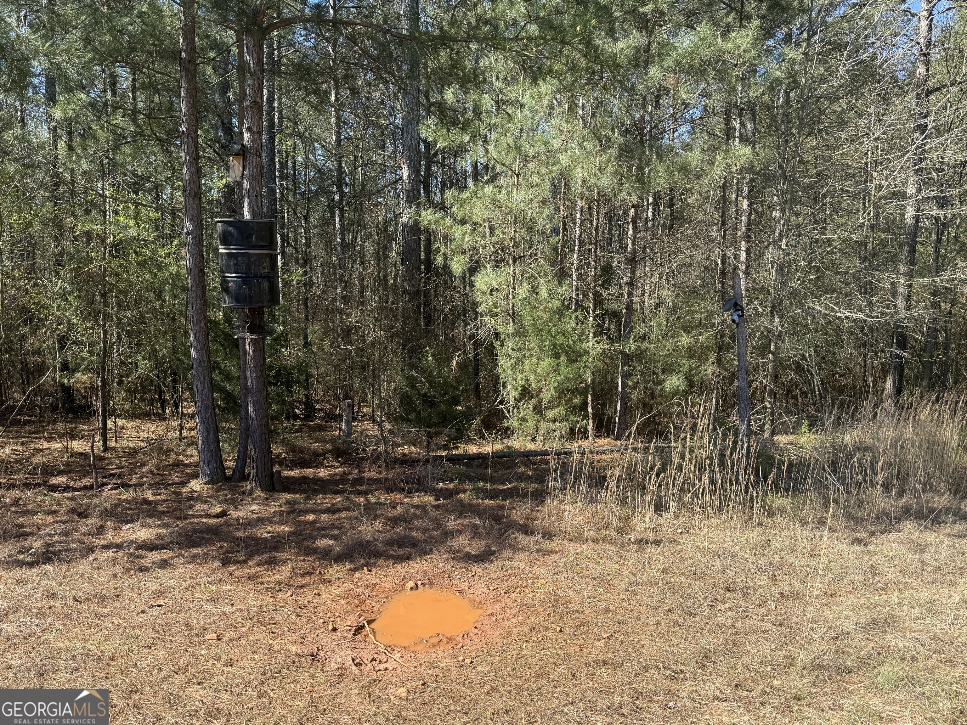 2375 Factory Hole Drive Bowman GA 30624