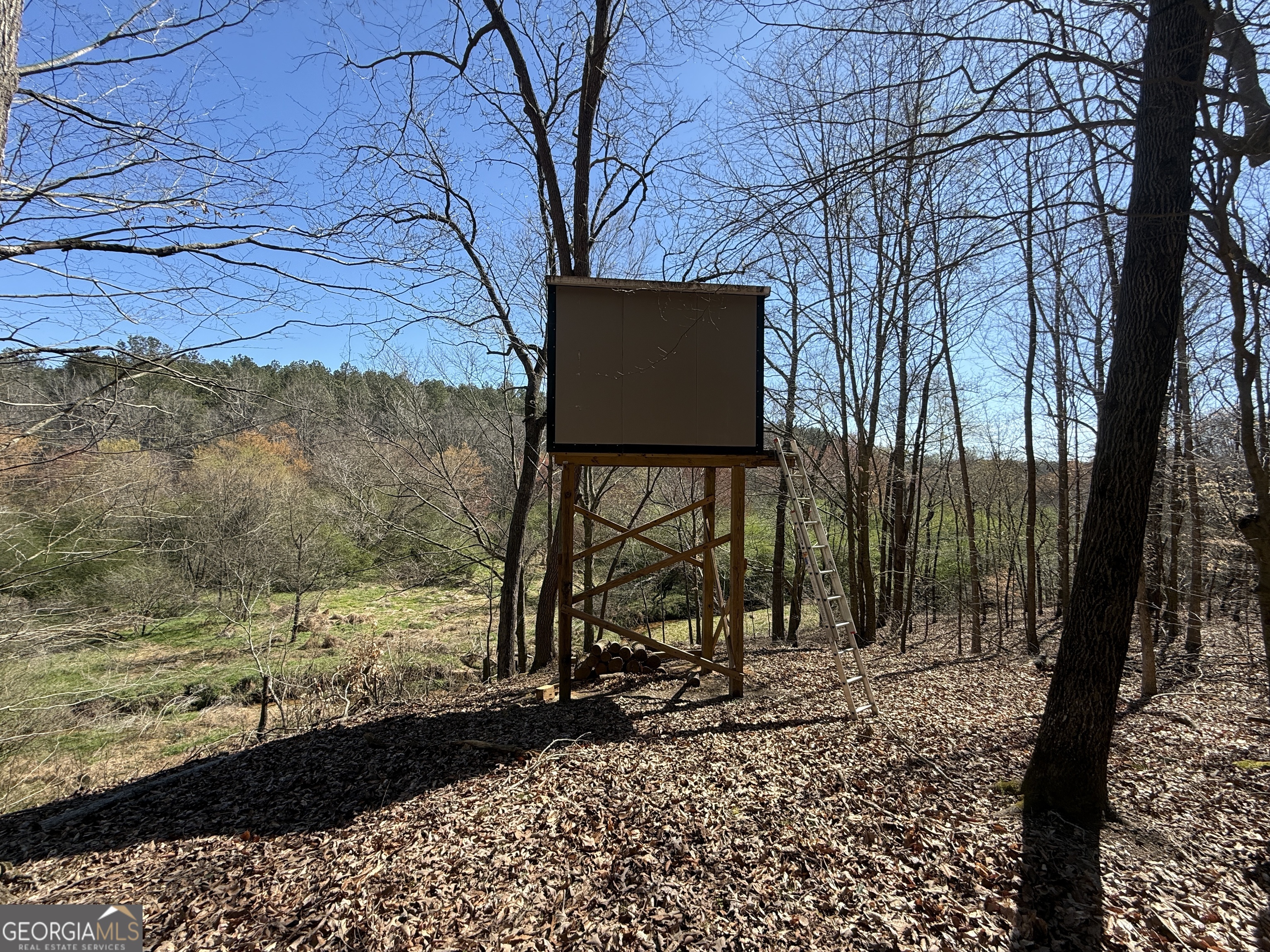 2375 Factory Hole Drive Bowman GA 30624