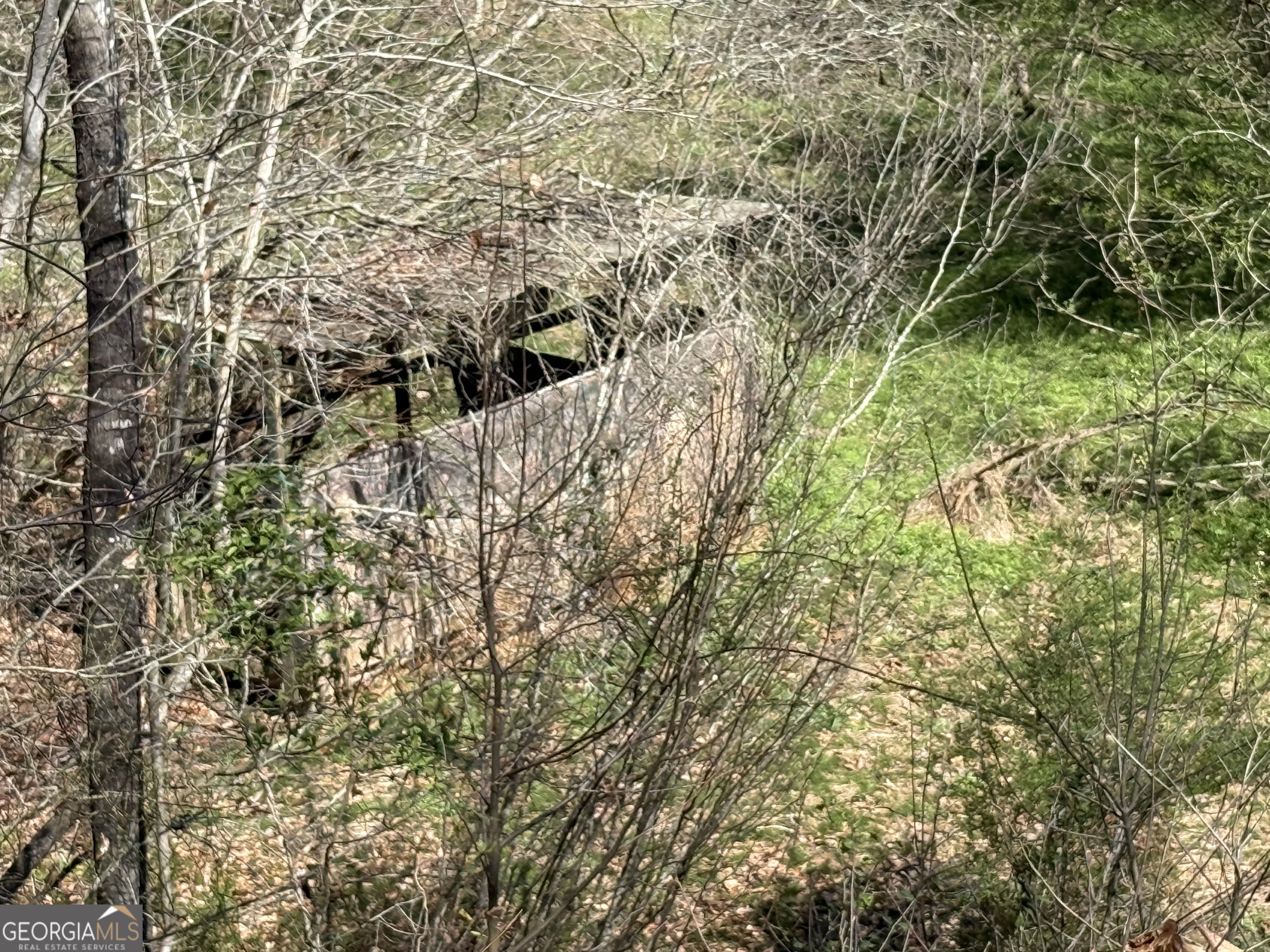 2375 Factory Hole Drive Bowman GA 30624
