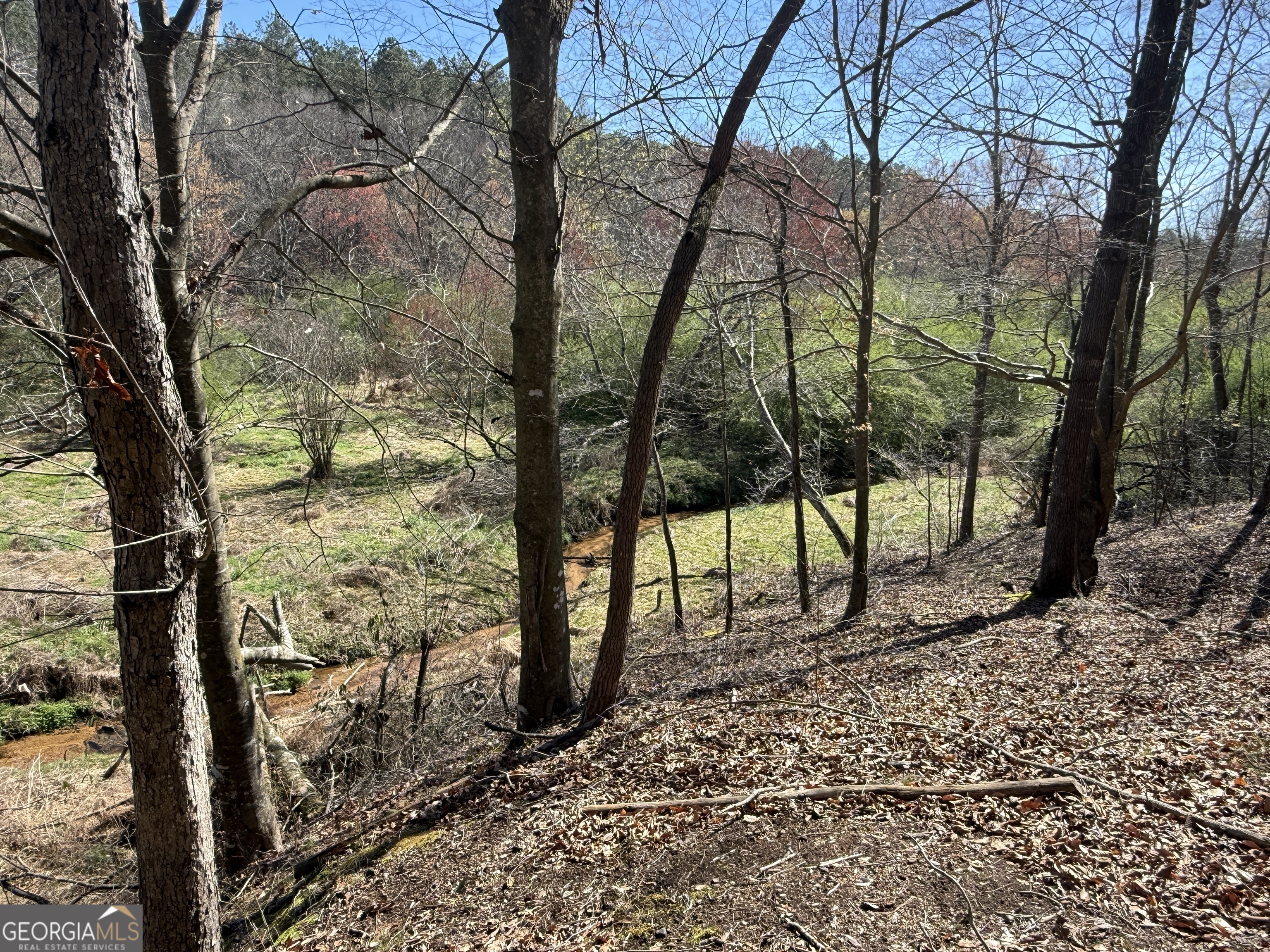 2375 Factory Hole Drive Bowman GA 30624