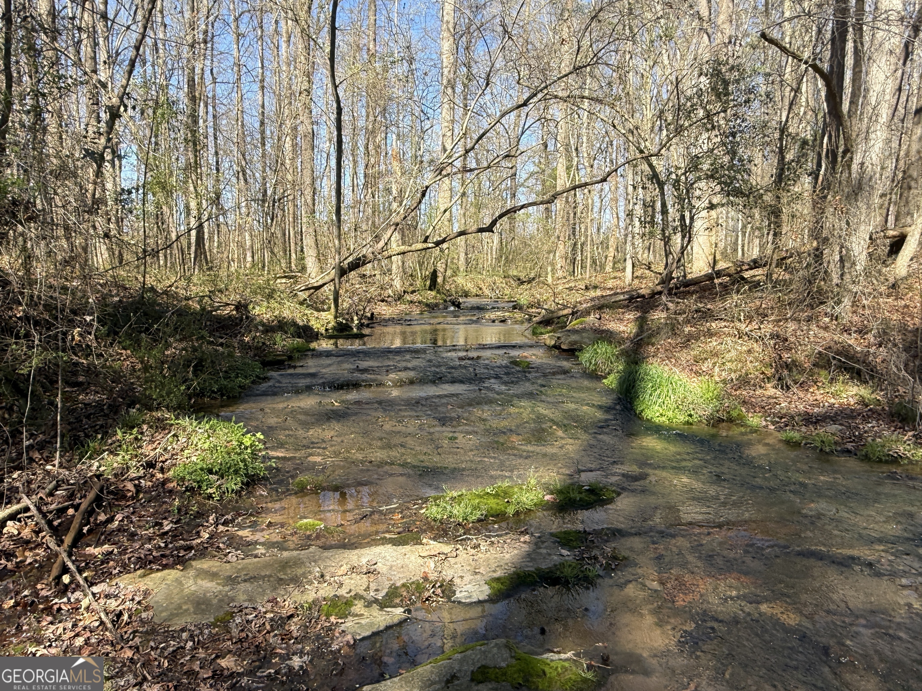 2375 Factory Hole Drive Bowman GA 30624
