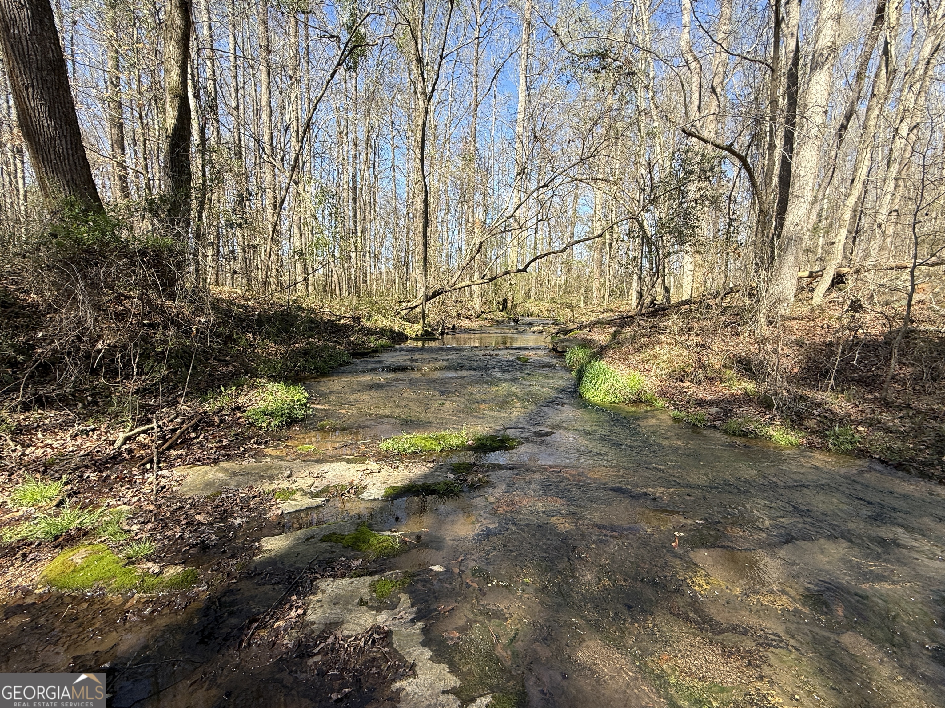 2375 Factory Hole Drive Bowman GA 30624