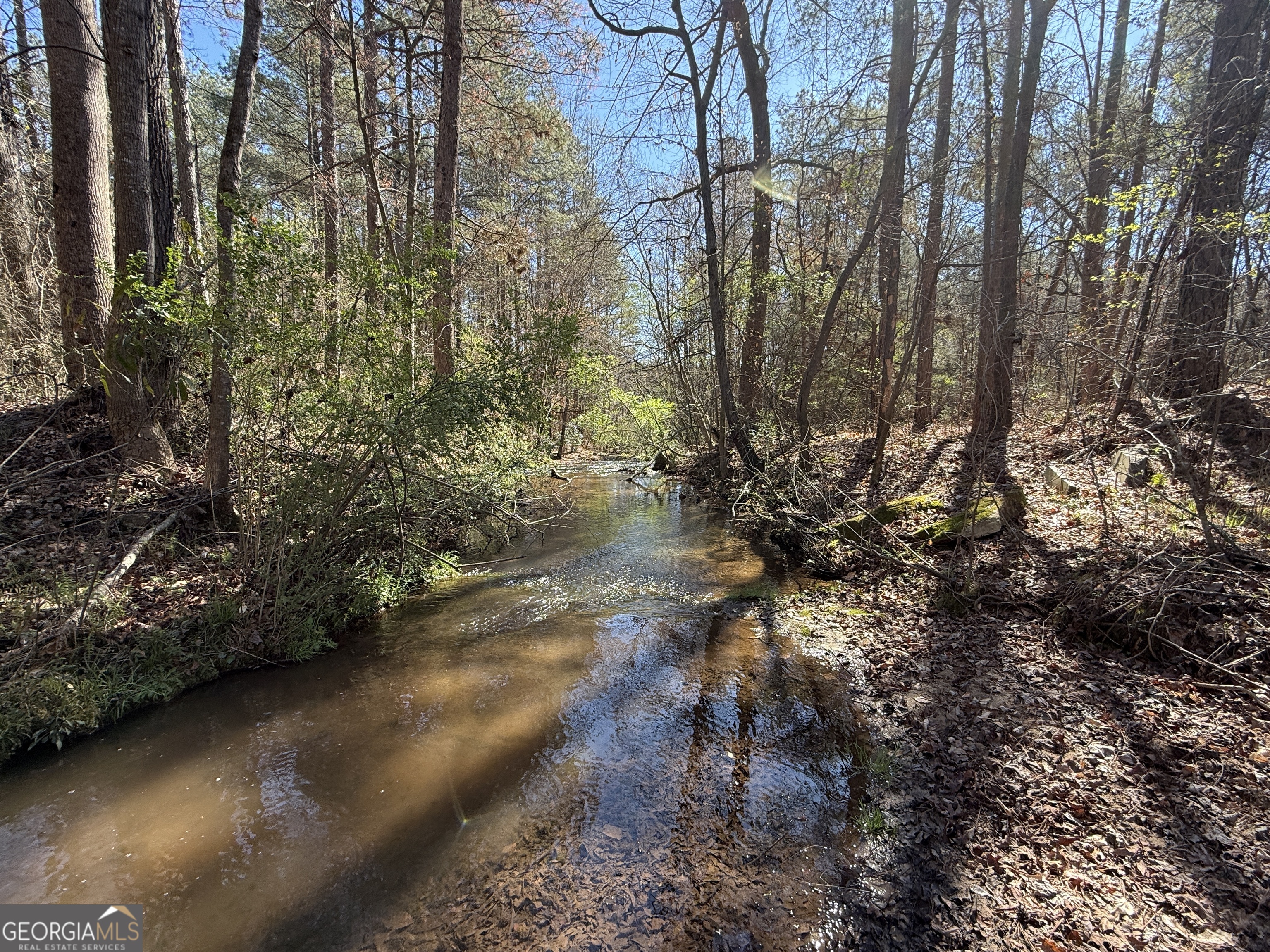 2375 Factory Hole Drive Bowman GA 30624
